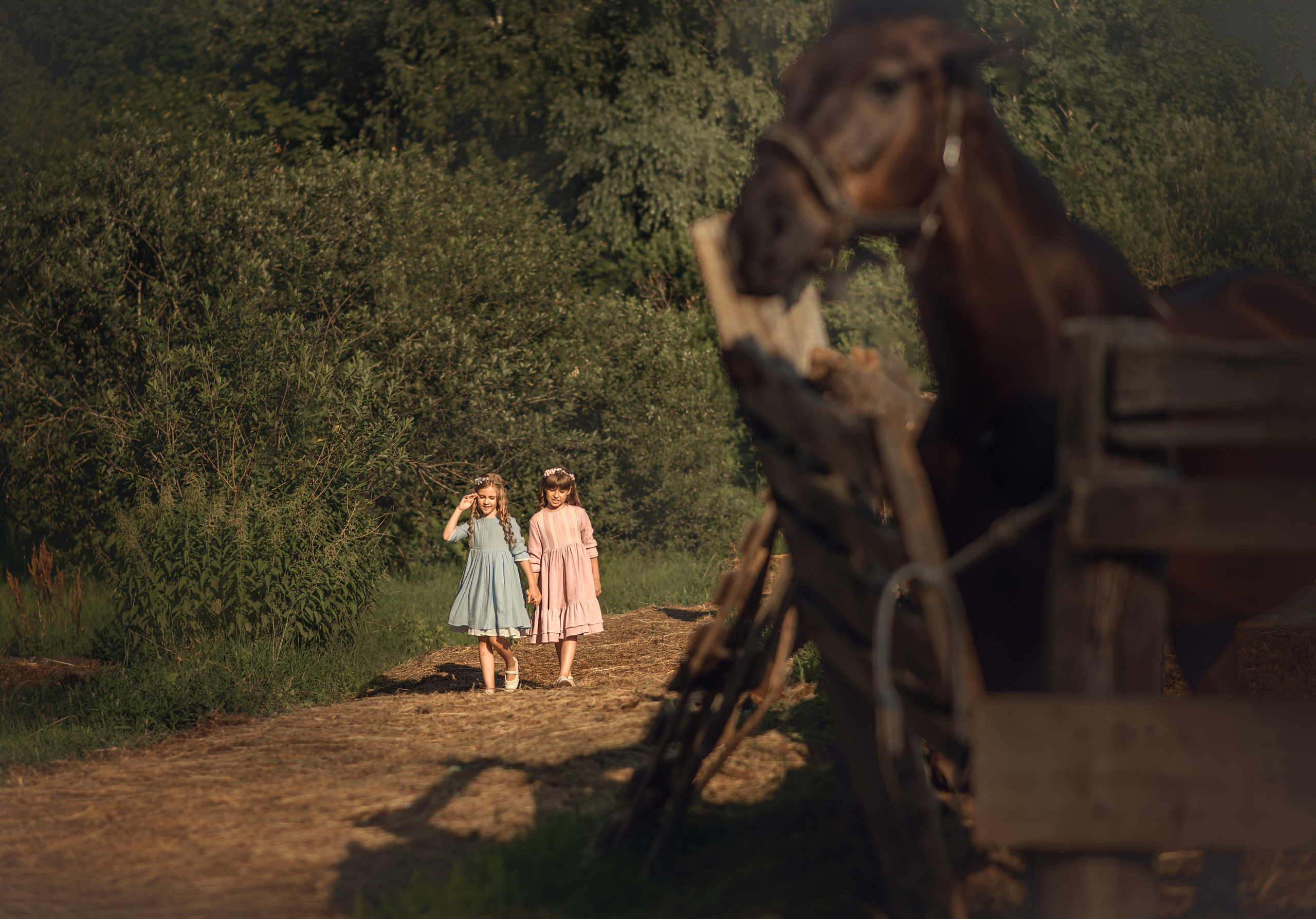 Выходной на конюшне. Душевная фотография от сердца к сердцу Марина Жиделева фотограф Москва