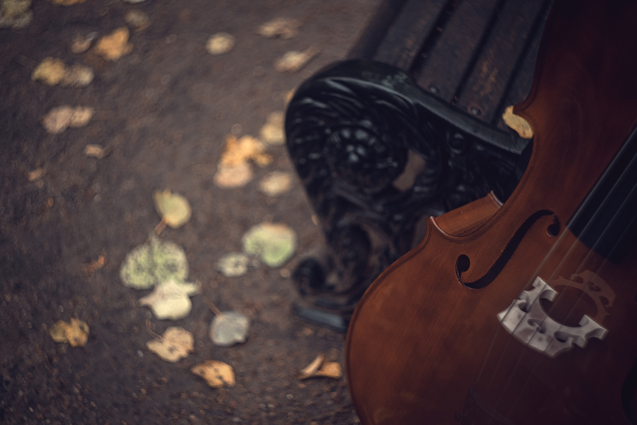 Осенняя мелодия. Душевная фотография от сердца к сердцу Марина Жиделева фотограф Москва