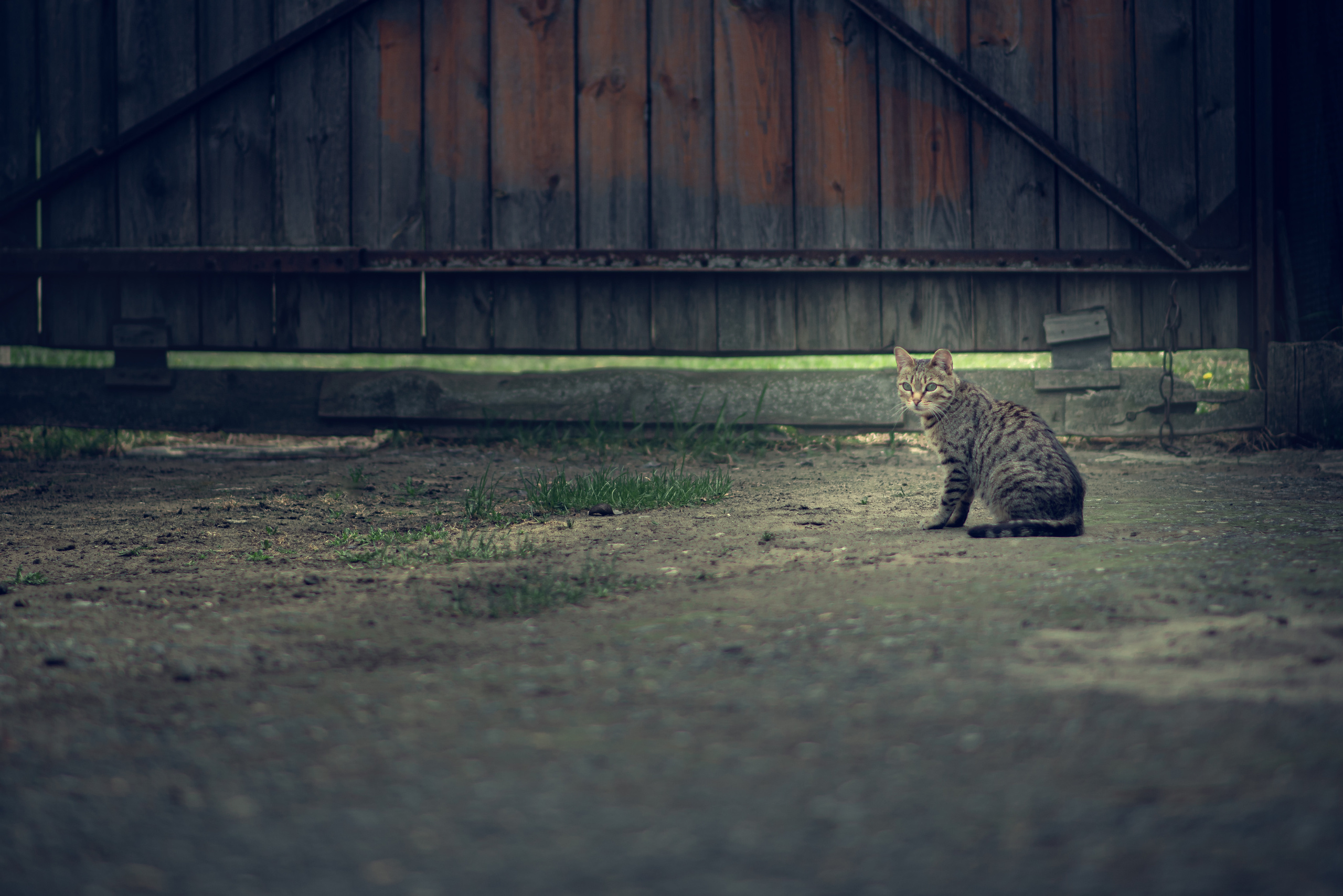 Два берега. Душевная фотография от сердца к сердцу Марина Жиделева фотограф Москва
