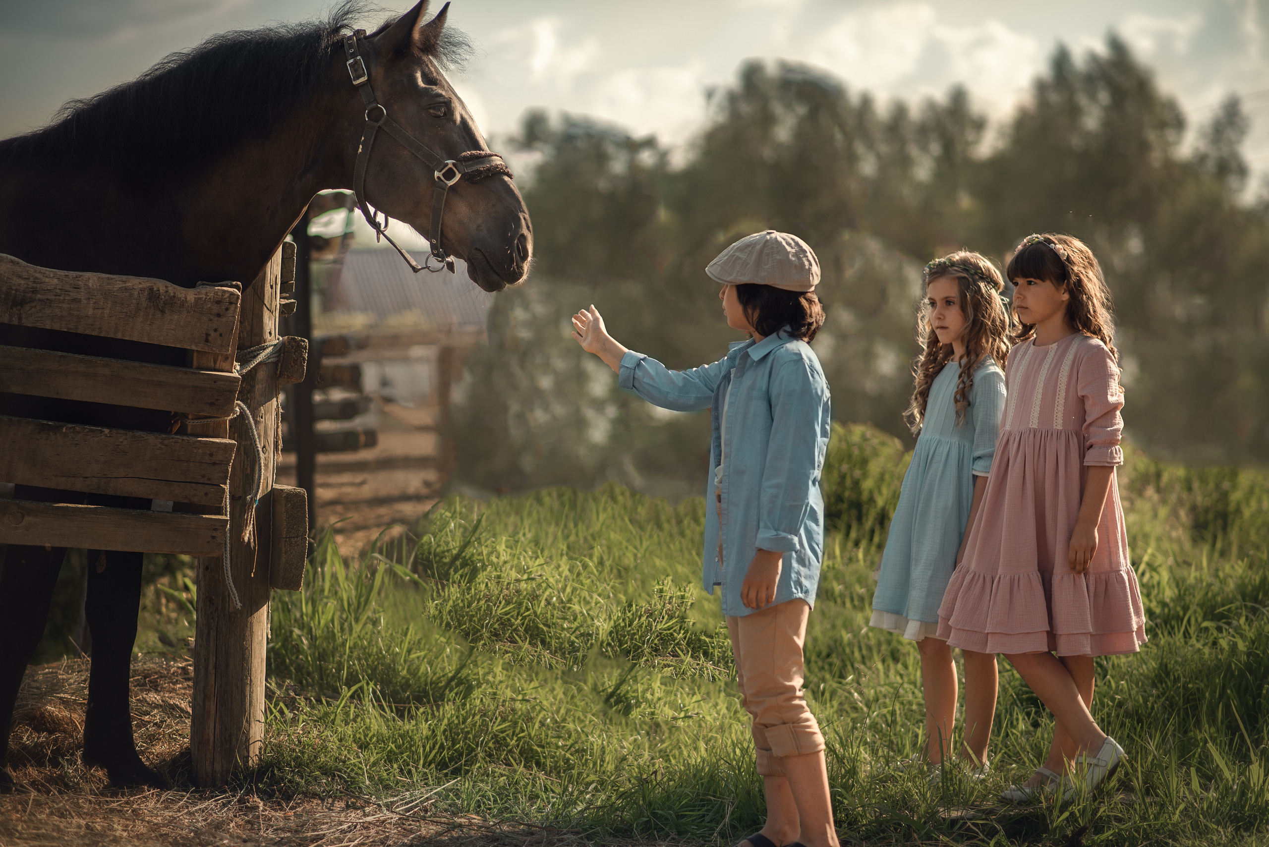 Выходной на конюшне. Душевная фотография от сердца к сердцу Марина Жиделева фотограф Москва