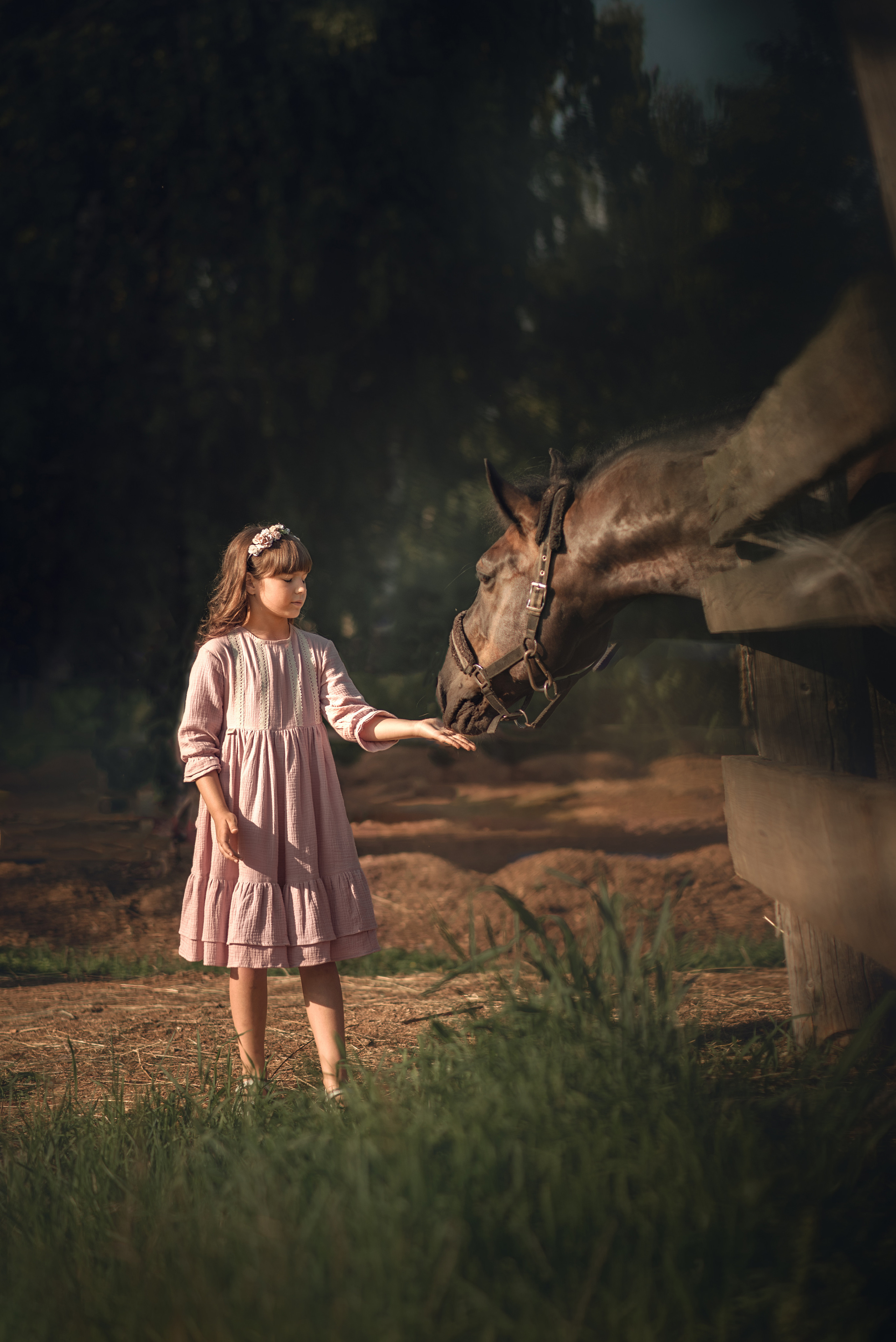 Выходной на конюшне. Душевная фотография от сердца к сердцу Марина Жиделева фотограф Москва
