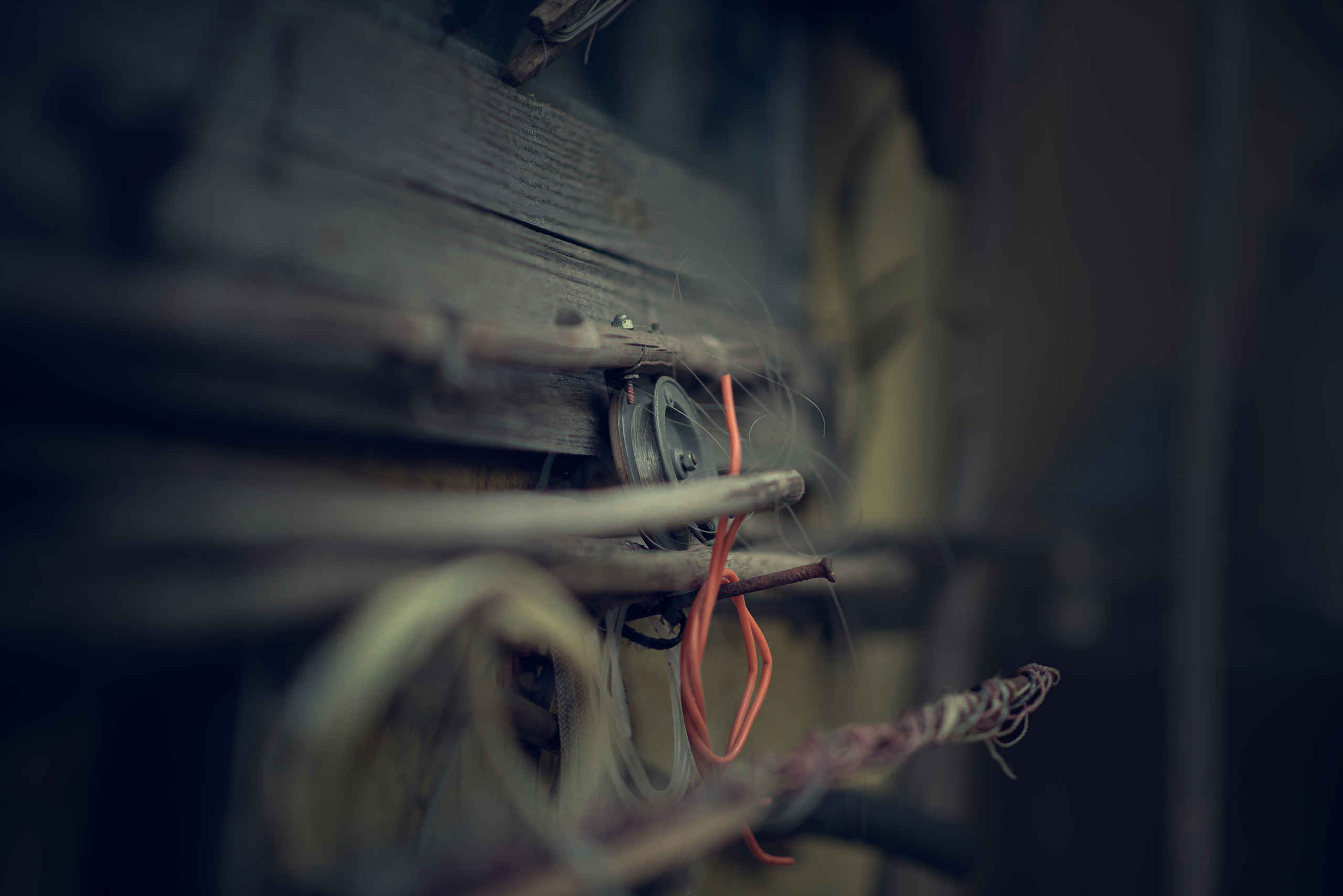 Два берега. Душевная фотография от сердца к сердцу Марина Жиделева фотограф Москва