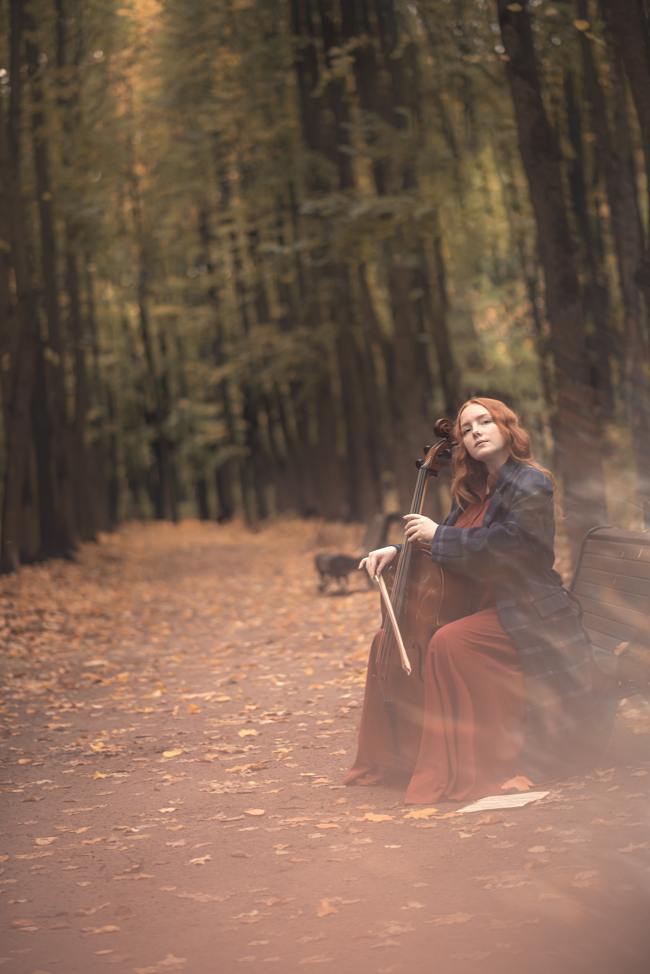 Осенняя мелодия. Душевная фотография от сердца к сердцу Марина Жиделева фотограф Москва