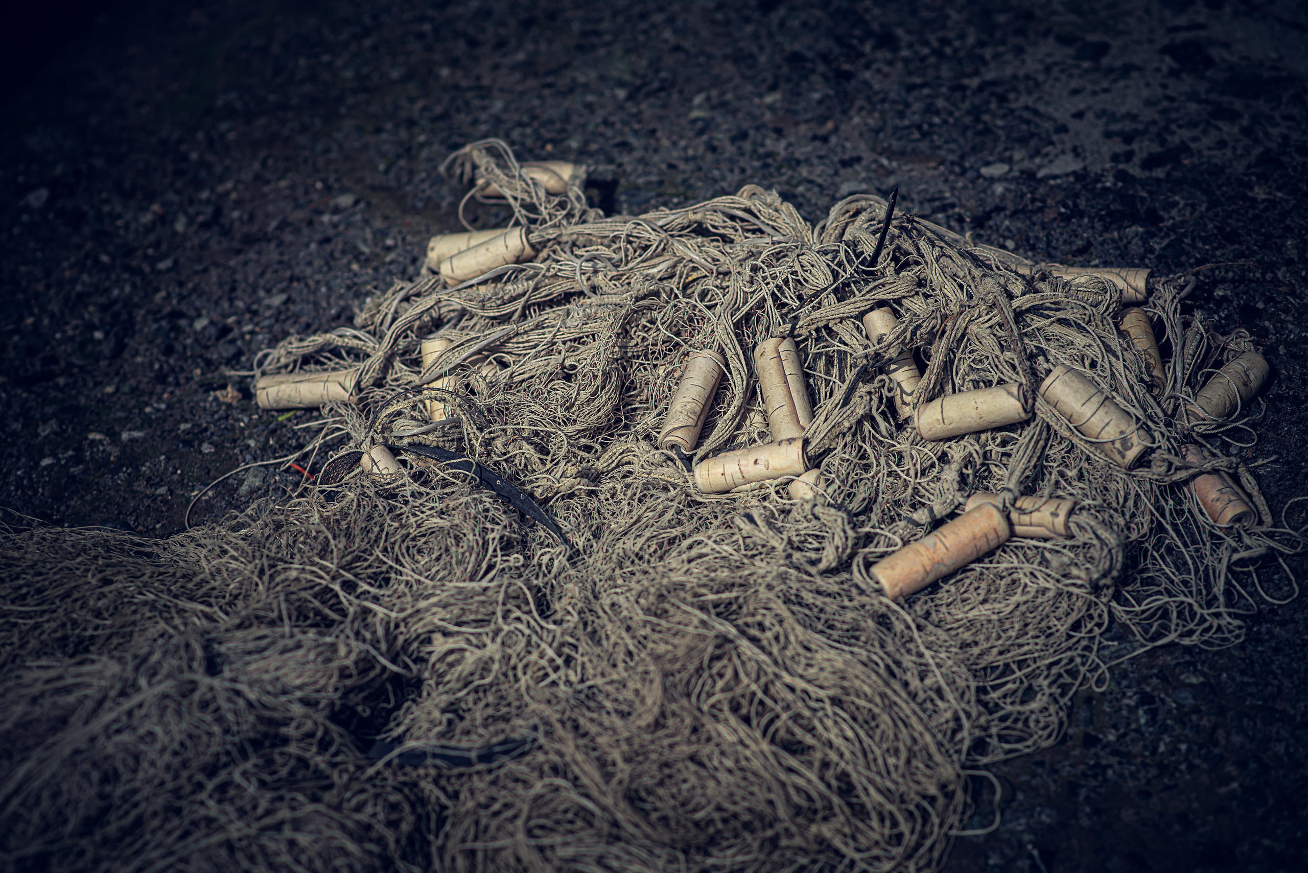 Два берега. Душевная фотография от сердца к сердцу Марина Жиделева фотограф Москва