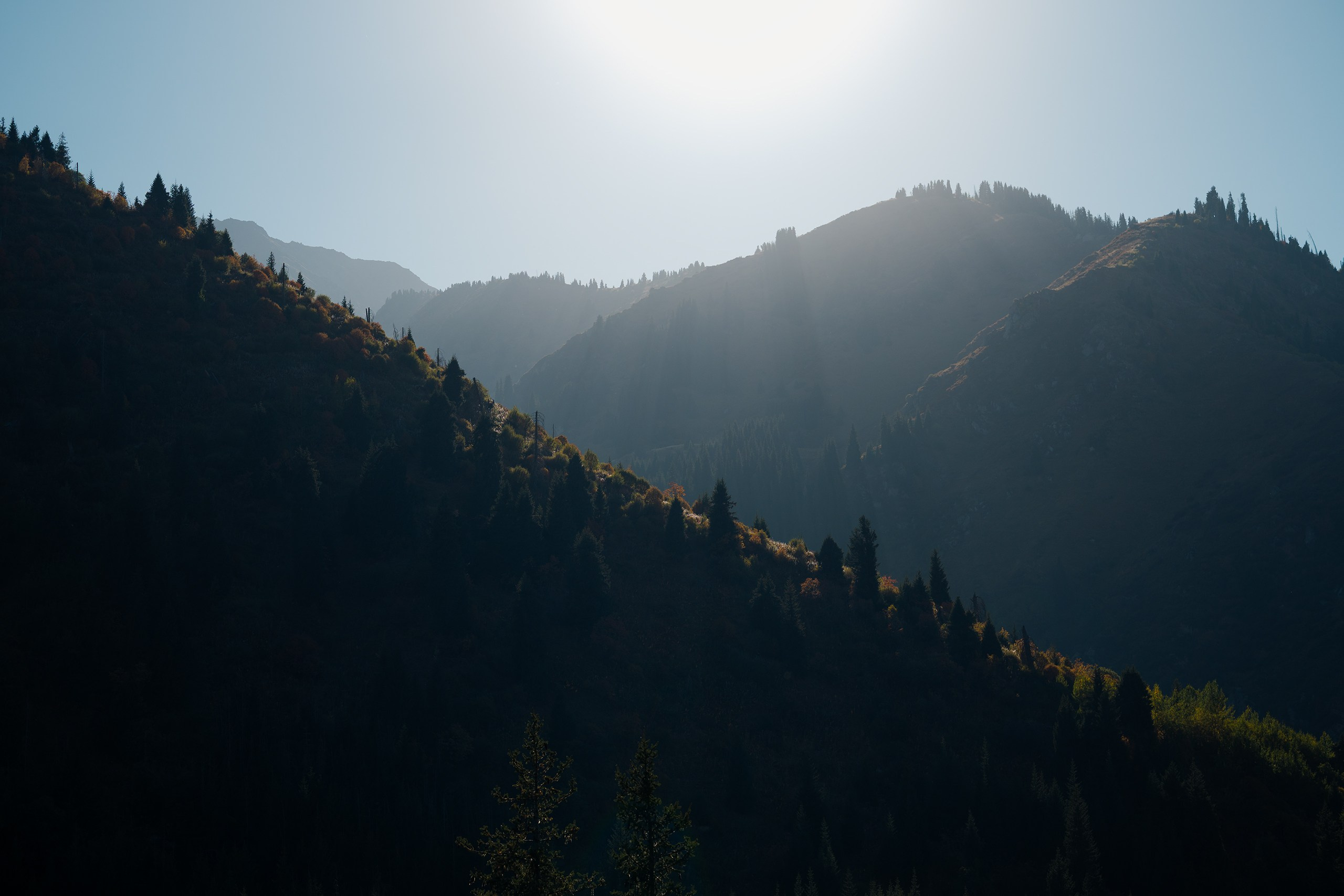 Чимбулак — 2025. Photographer in Almaty — Alexey Konkov | Reportage, Weddings, Portraits, Love Story