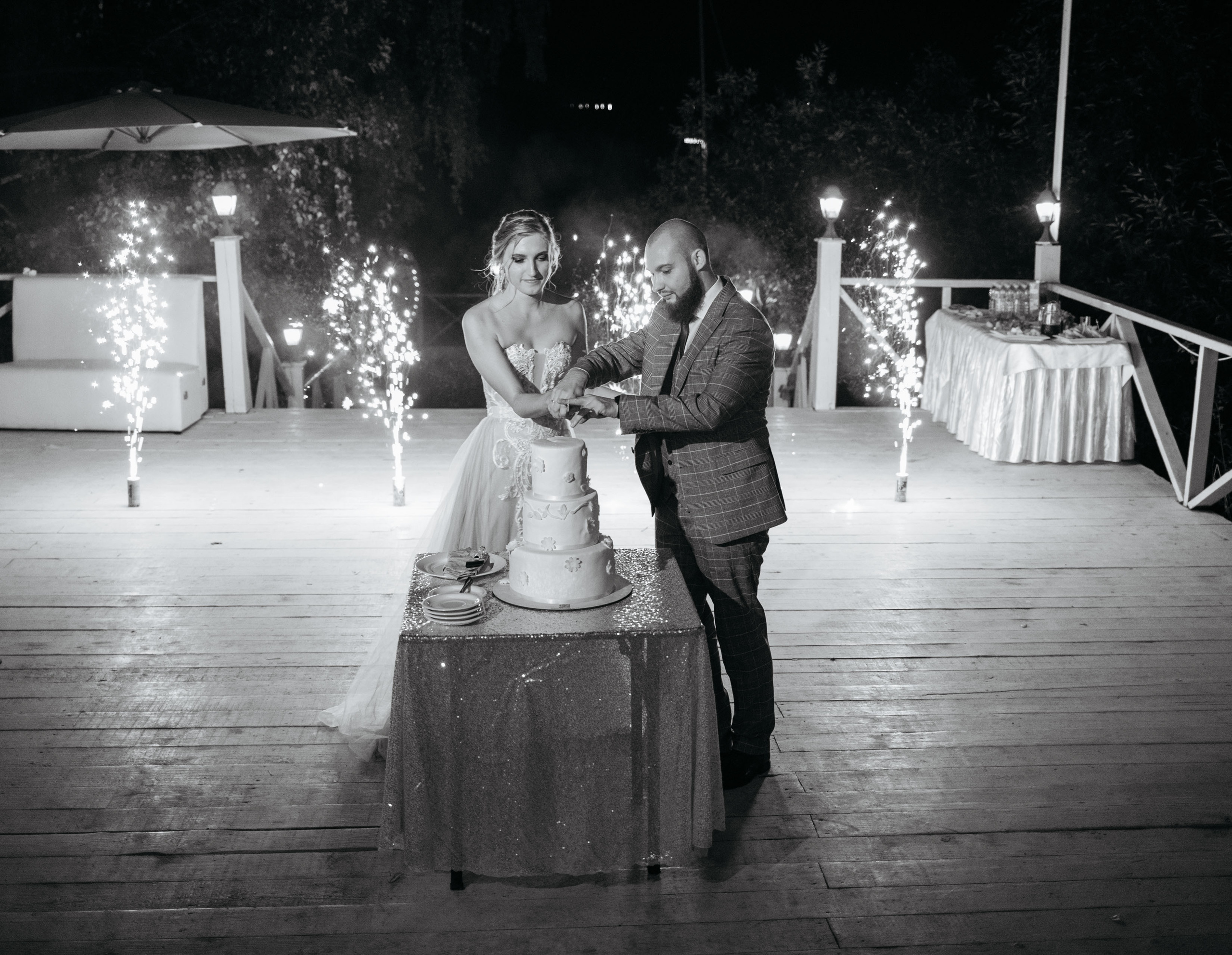 Костя и Таня. Ведущий на свадьбу в Москве Зубков Алексей