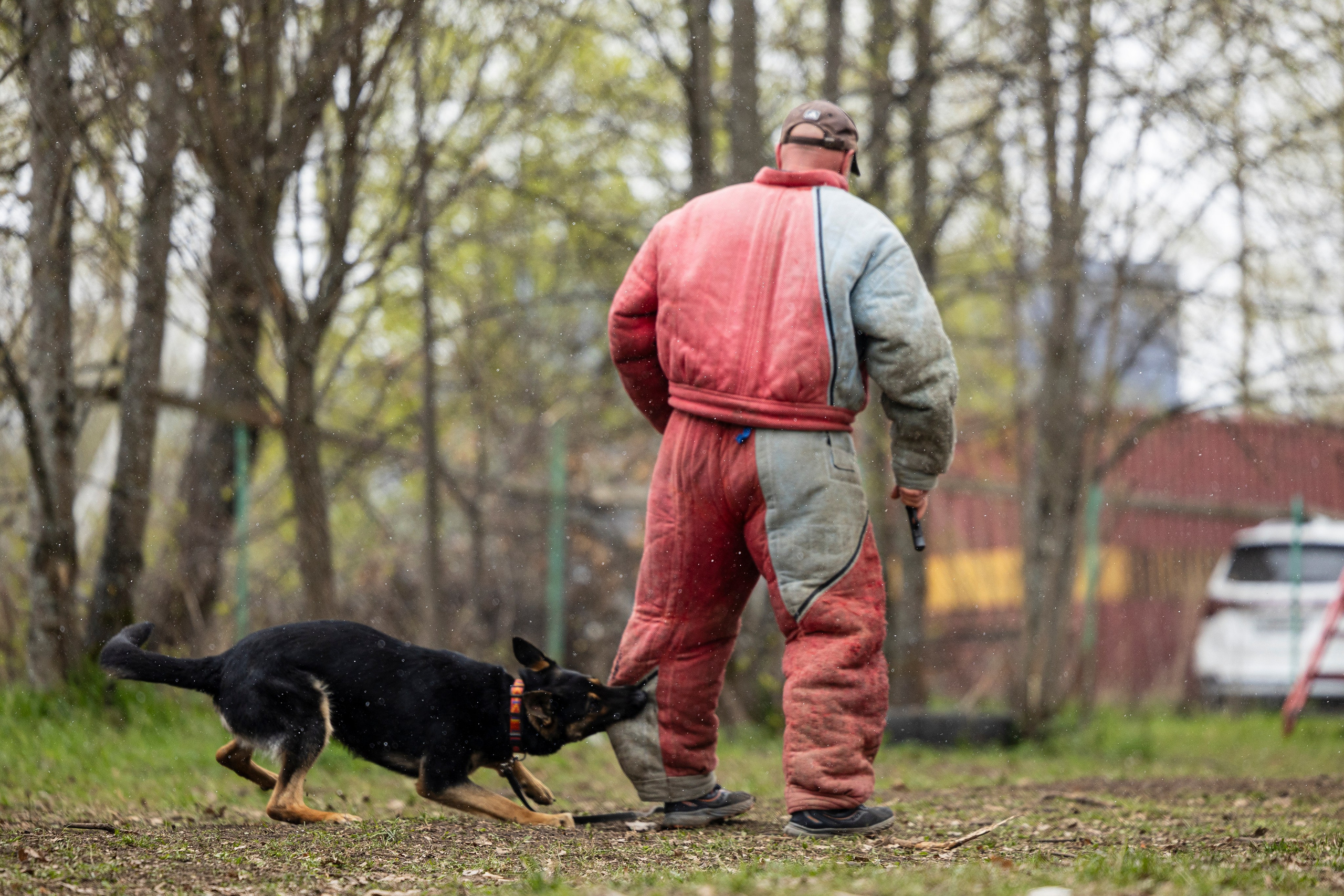 Квалификационные состязания по мондьорингу г. Вологда 11.05.24. Фотограф-анималист Анна Маринич
