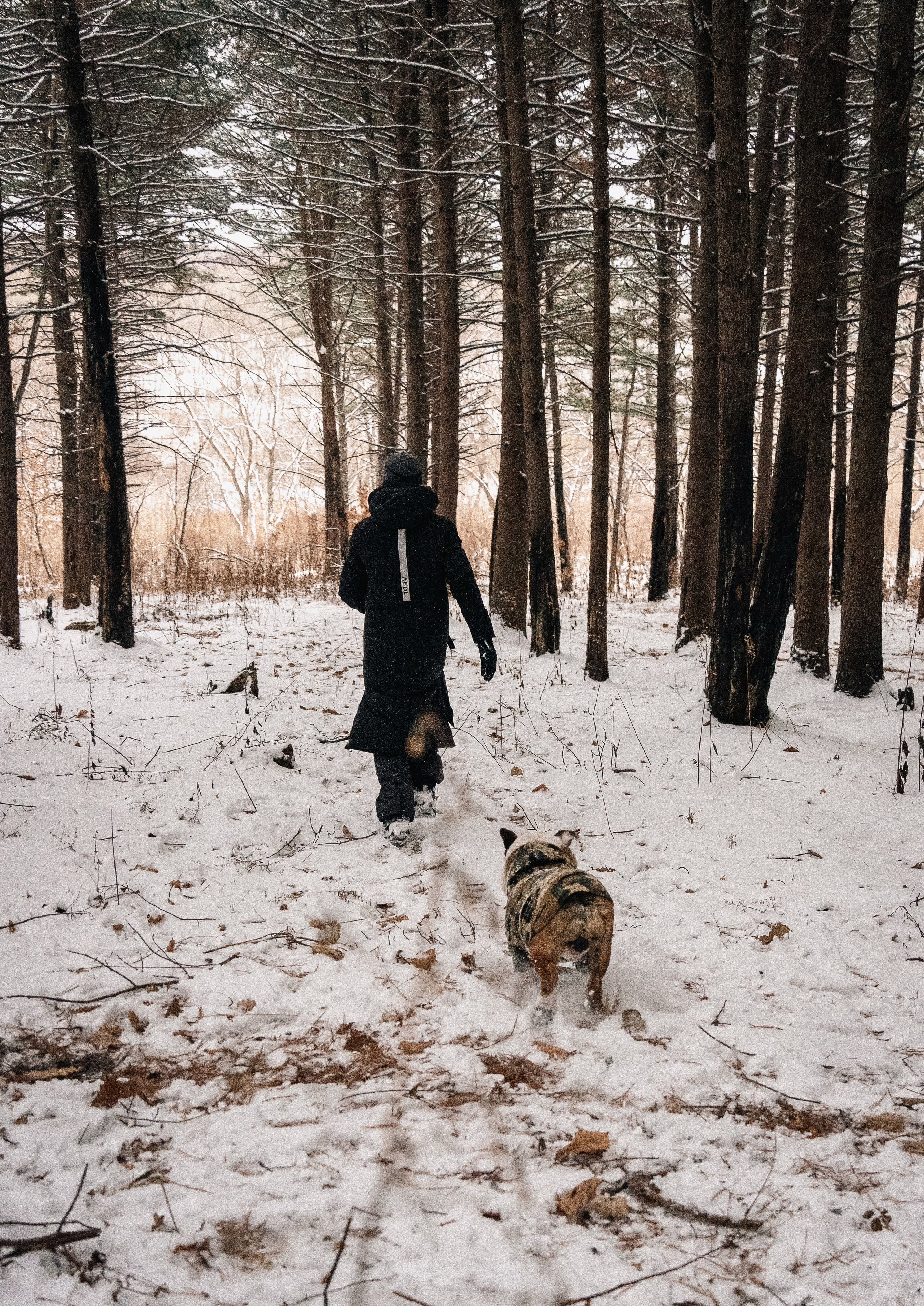 Зимняя история. Семейный фотограф анималист г. Находка