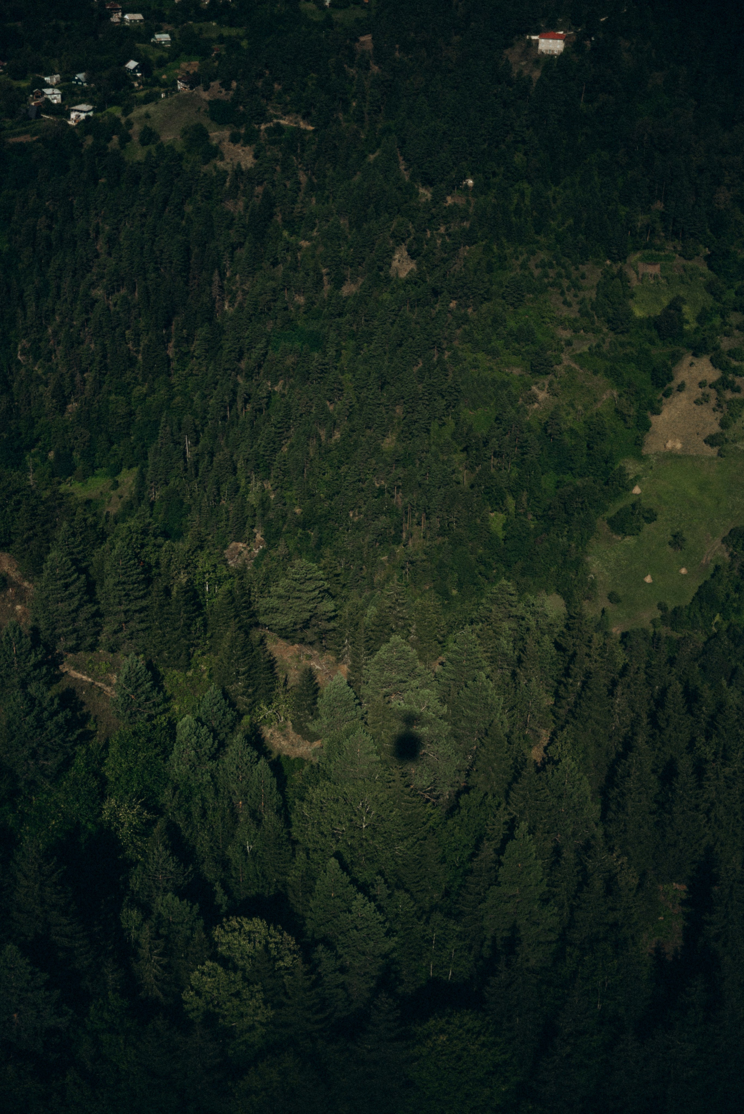 Верхняя Аджария, Грузия 🇬🇪. Anita_photo