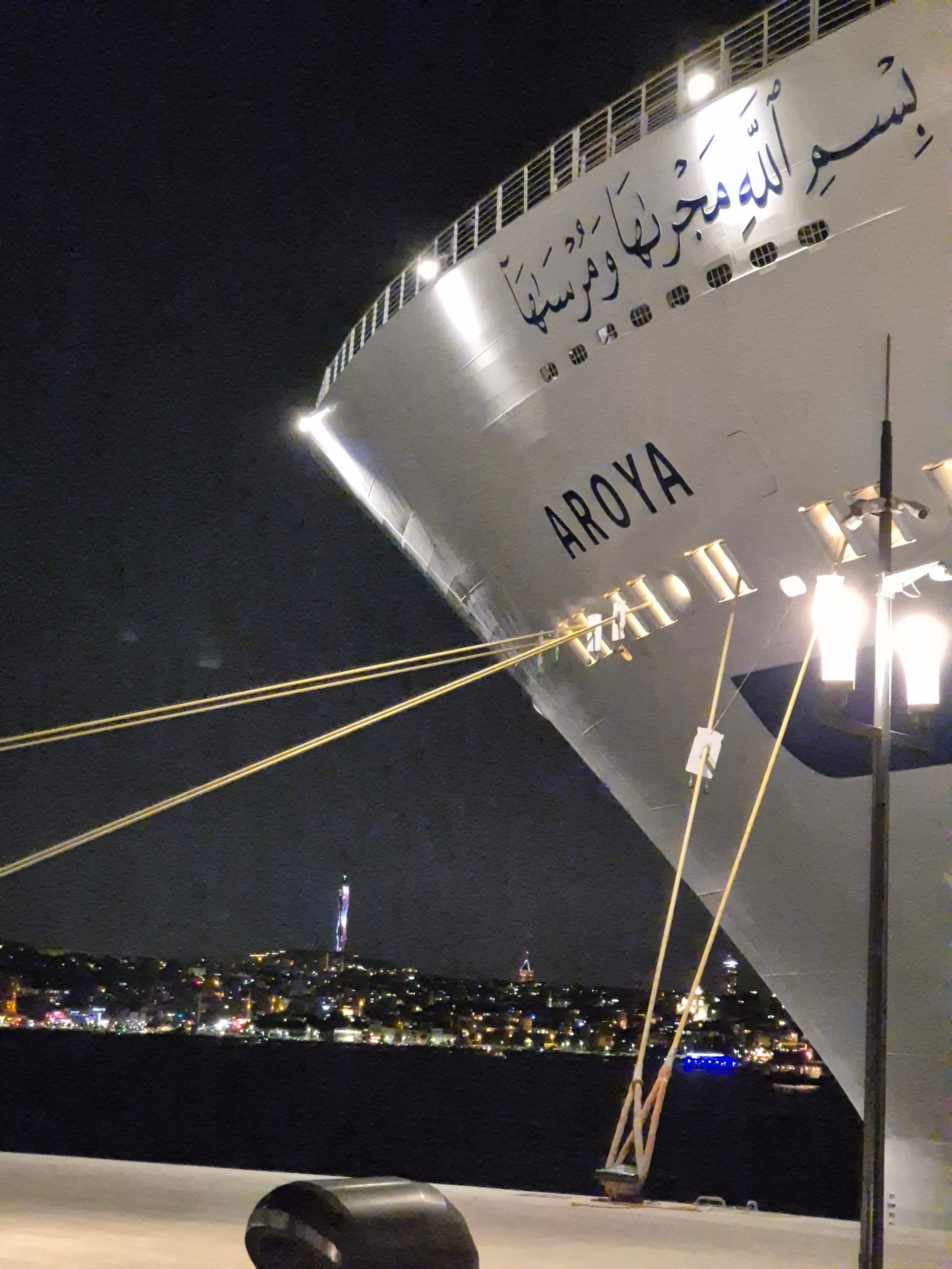 Вечер заканчиваем в Галата-порту. У пристани огромный круизный лайнер