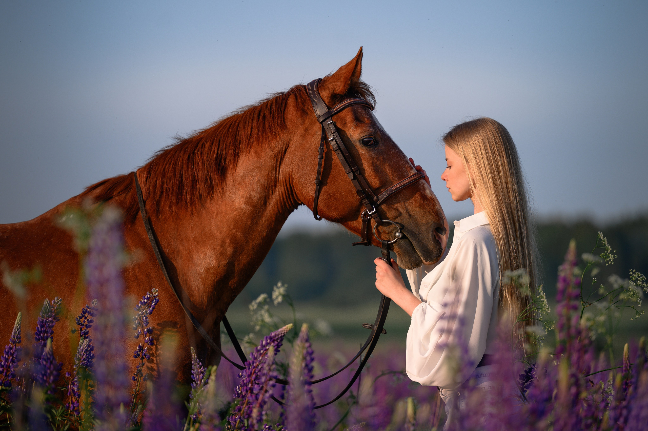 Рассвет в Подмосковье. Фотограф в Ростове —на — Дону