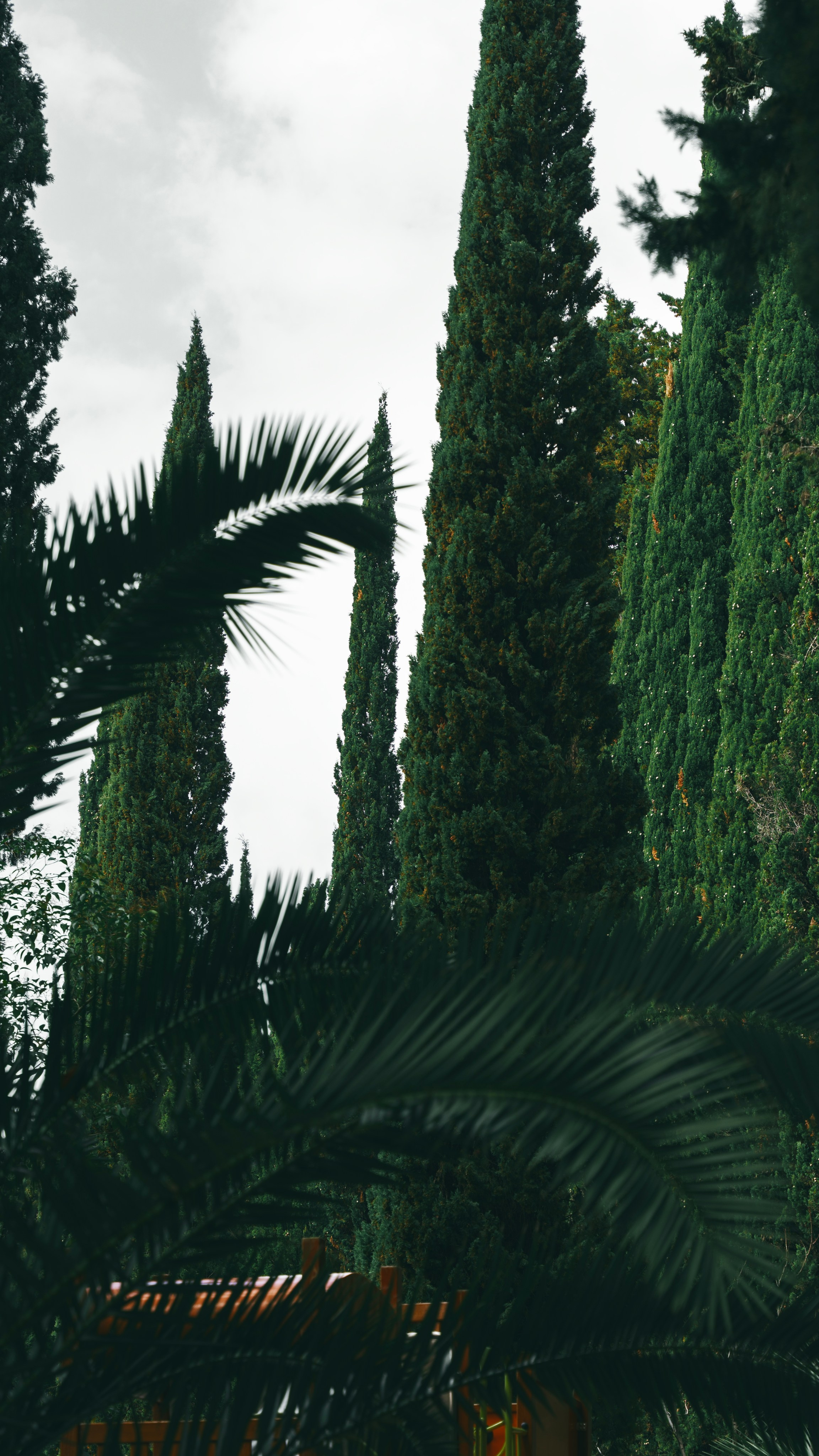 Заставки. Главная