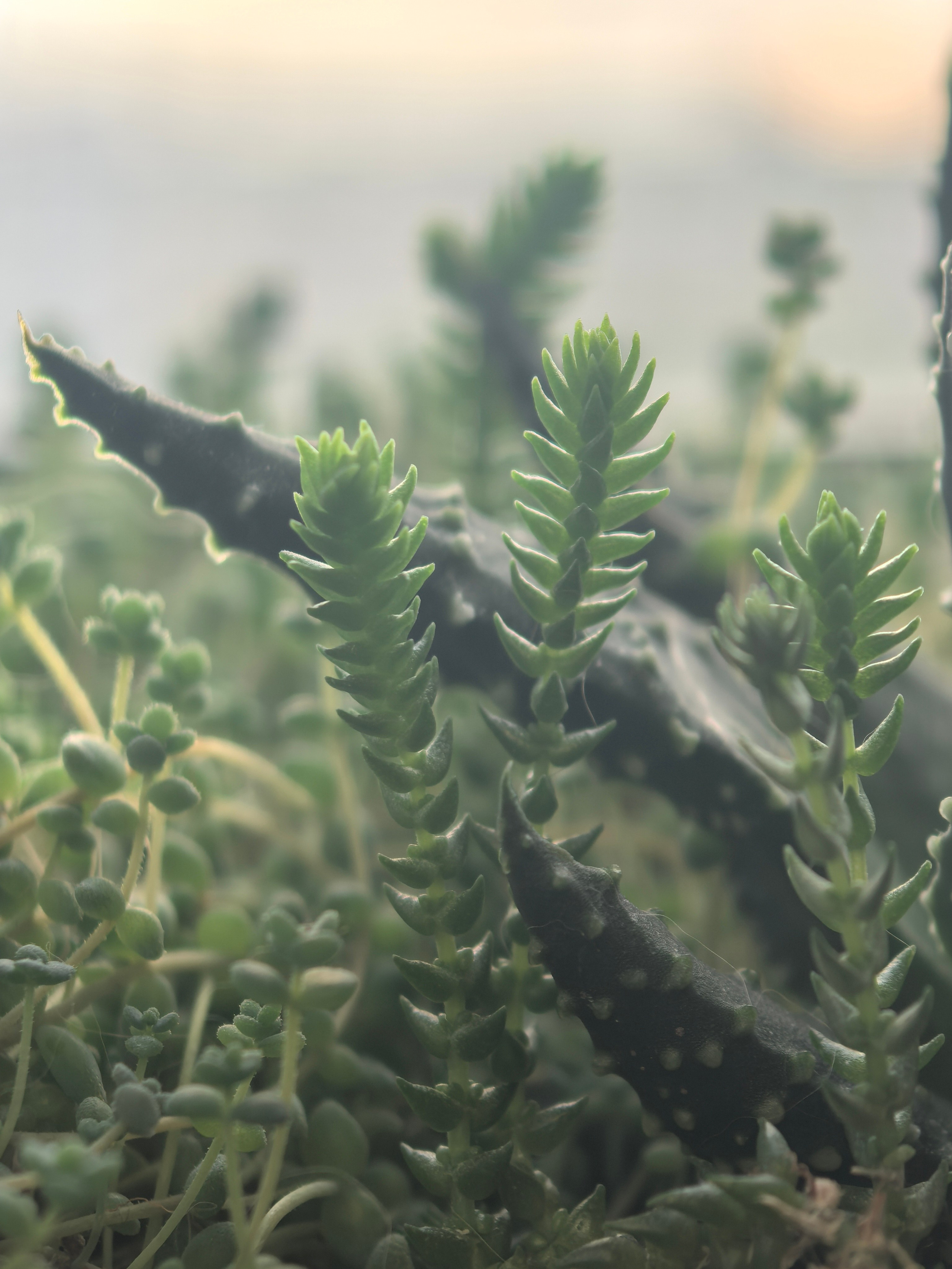 ПочтиМАКРО. Школьные выпускные альбомы в Москве Марина Николаева