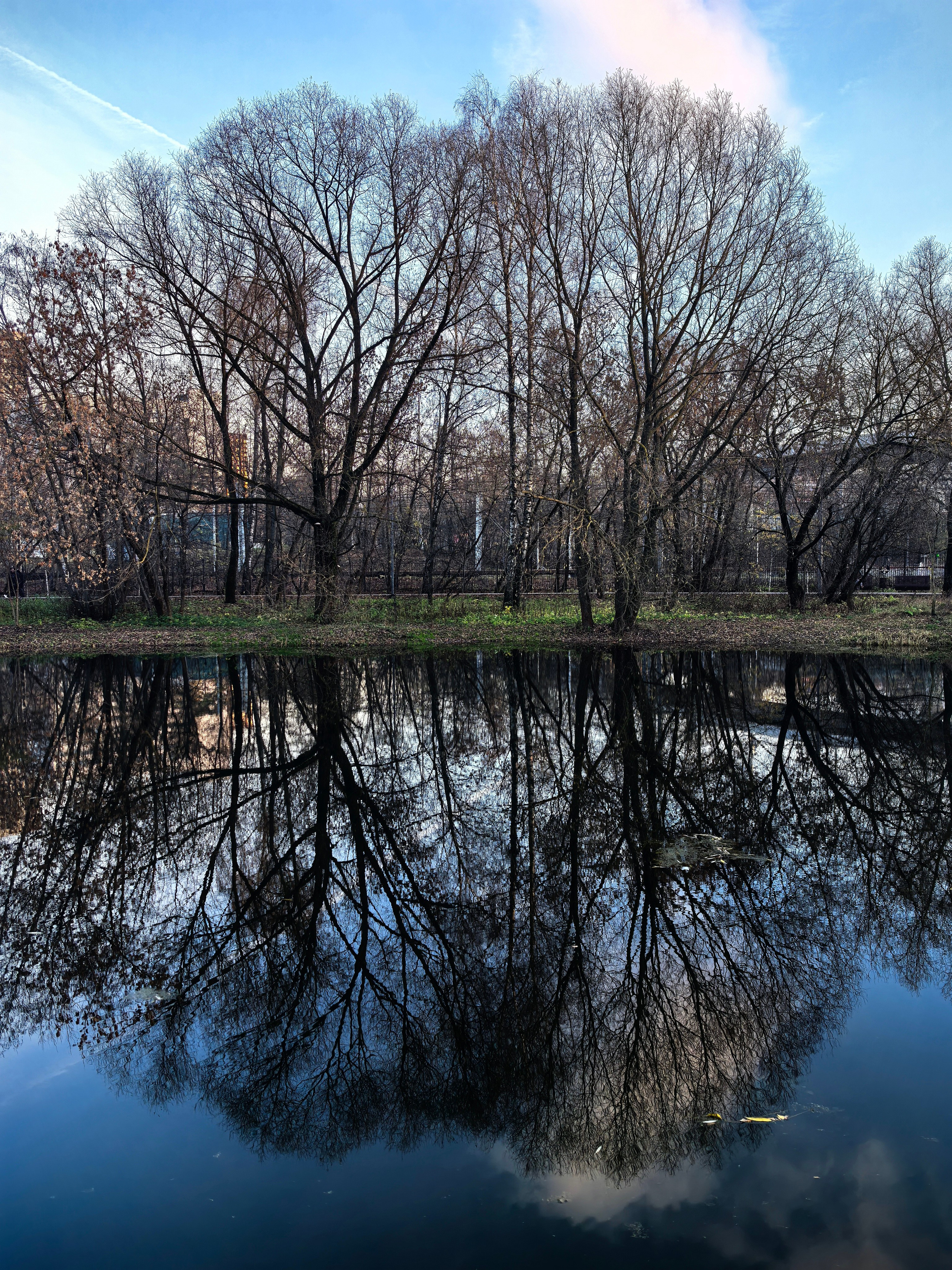 Покровско-Стрешнево. Школьные выпускные альбомы в Москве Марина Николаева