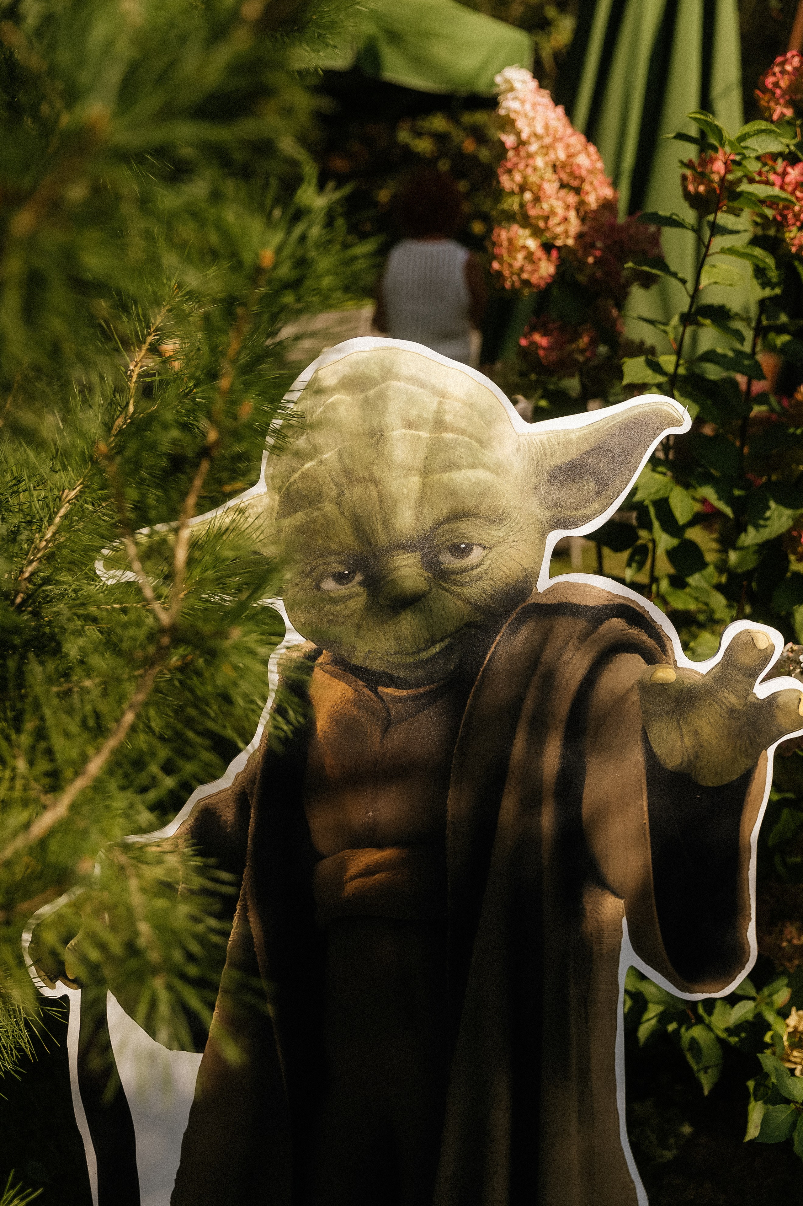 SEROVSKI Родион. Свадебный фотограф в Москве Николай Болт