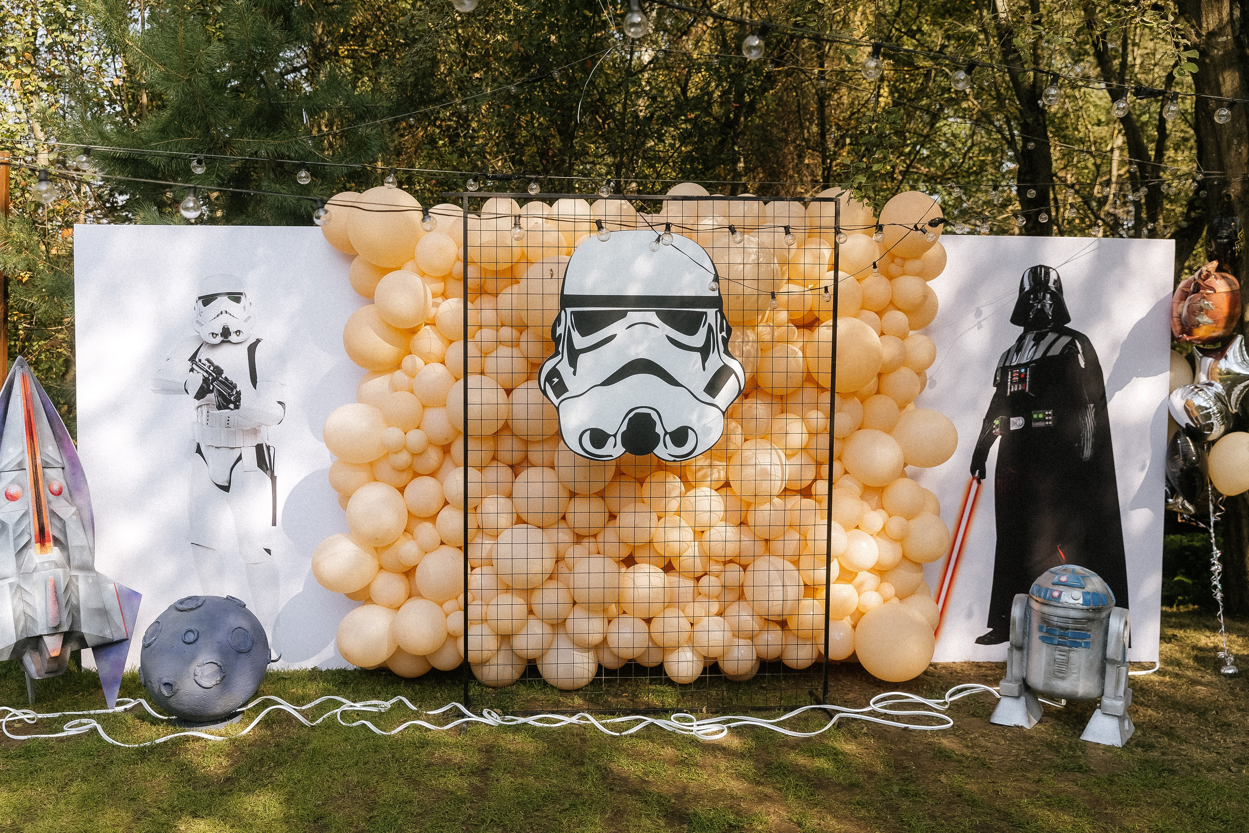 SEROVSKI Родион. Свадебный фотограф в Москве Николай Болт