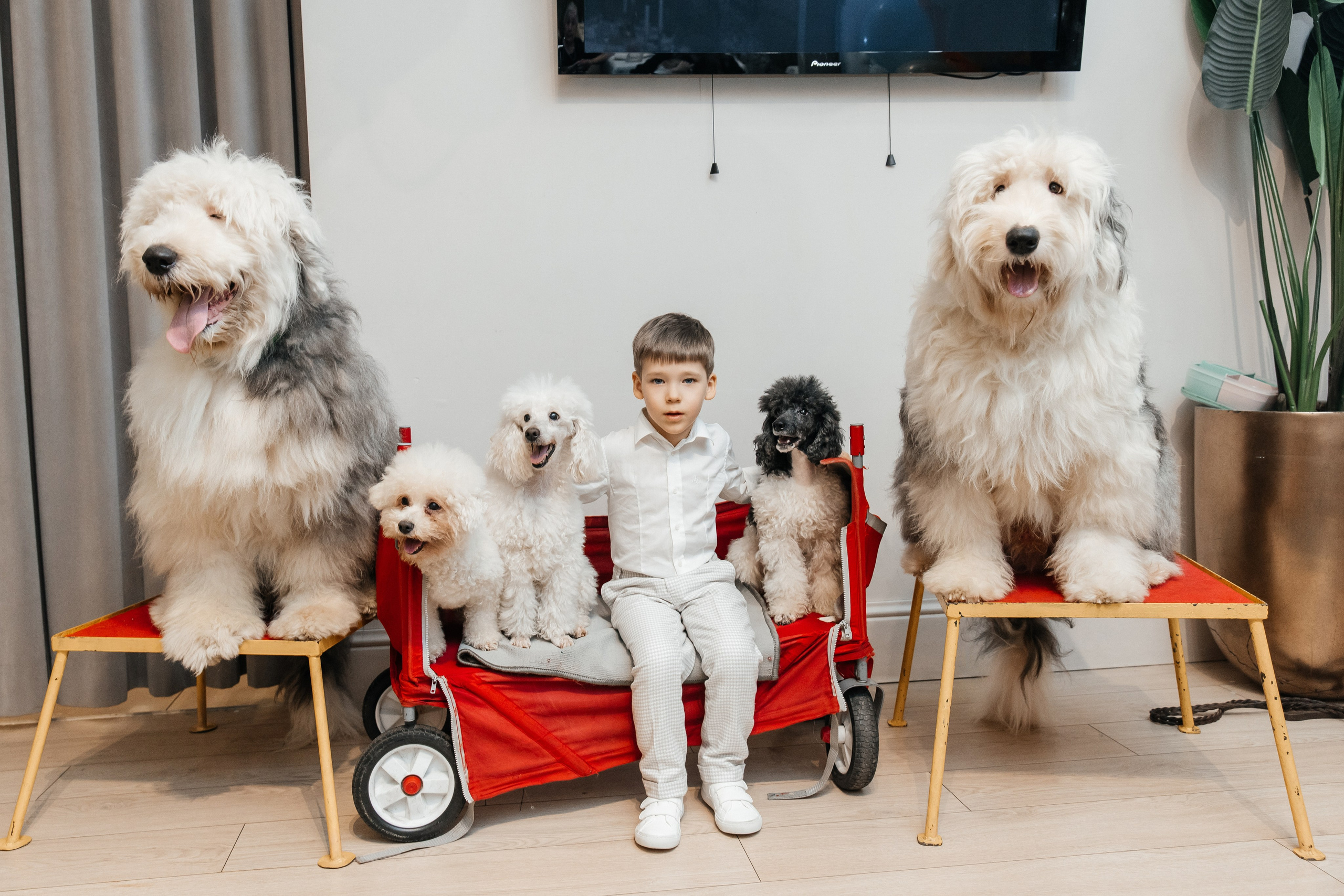 Даниил 4 года. Фотограф Москва Шептаев Артём