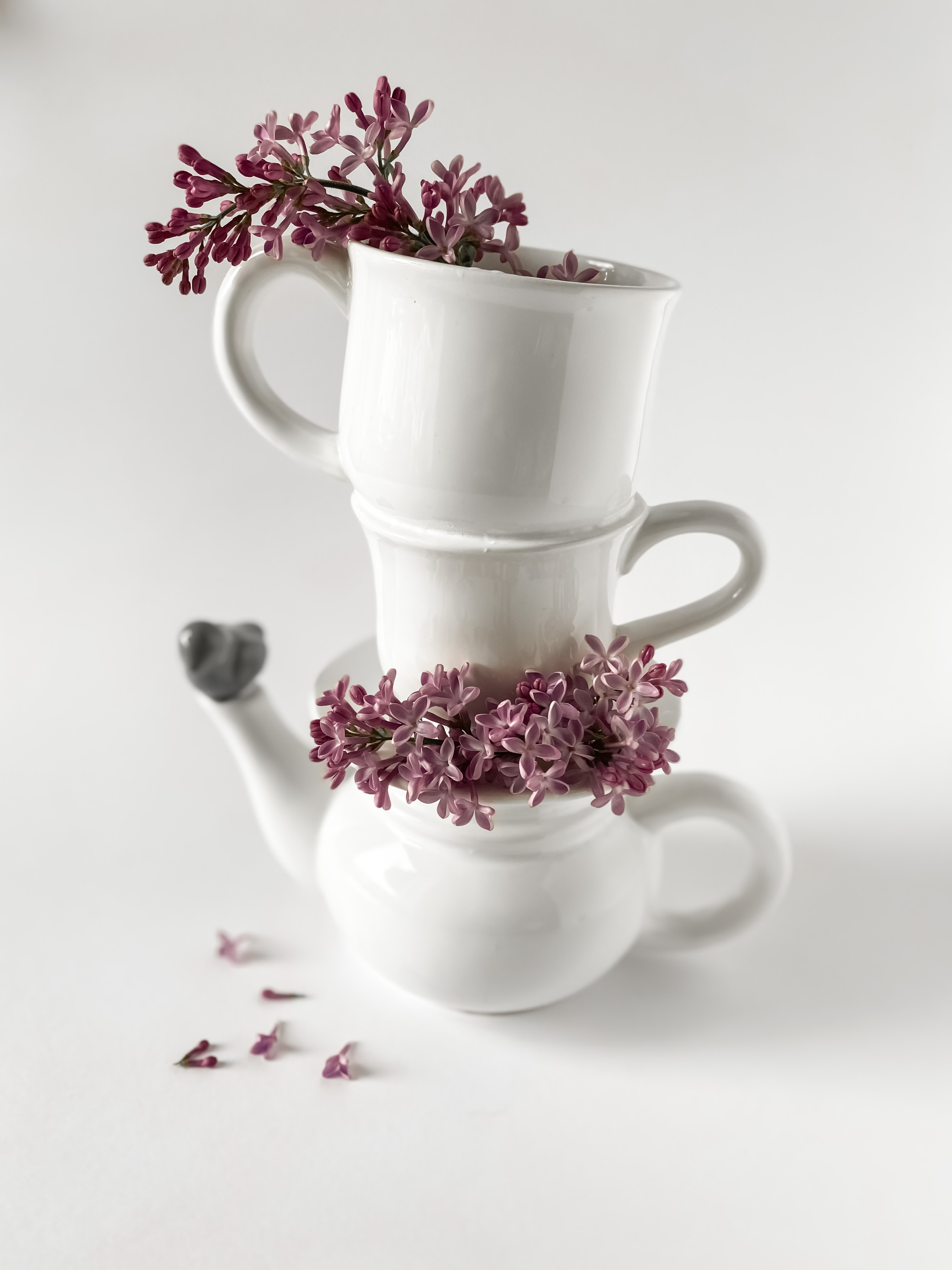 Предметная съемка. Фотограф в Петрозаводске Вероника Манакова