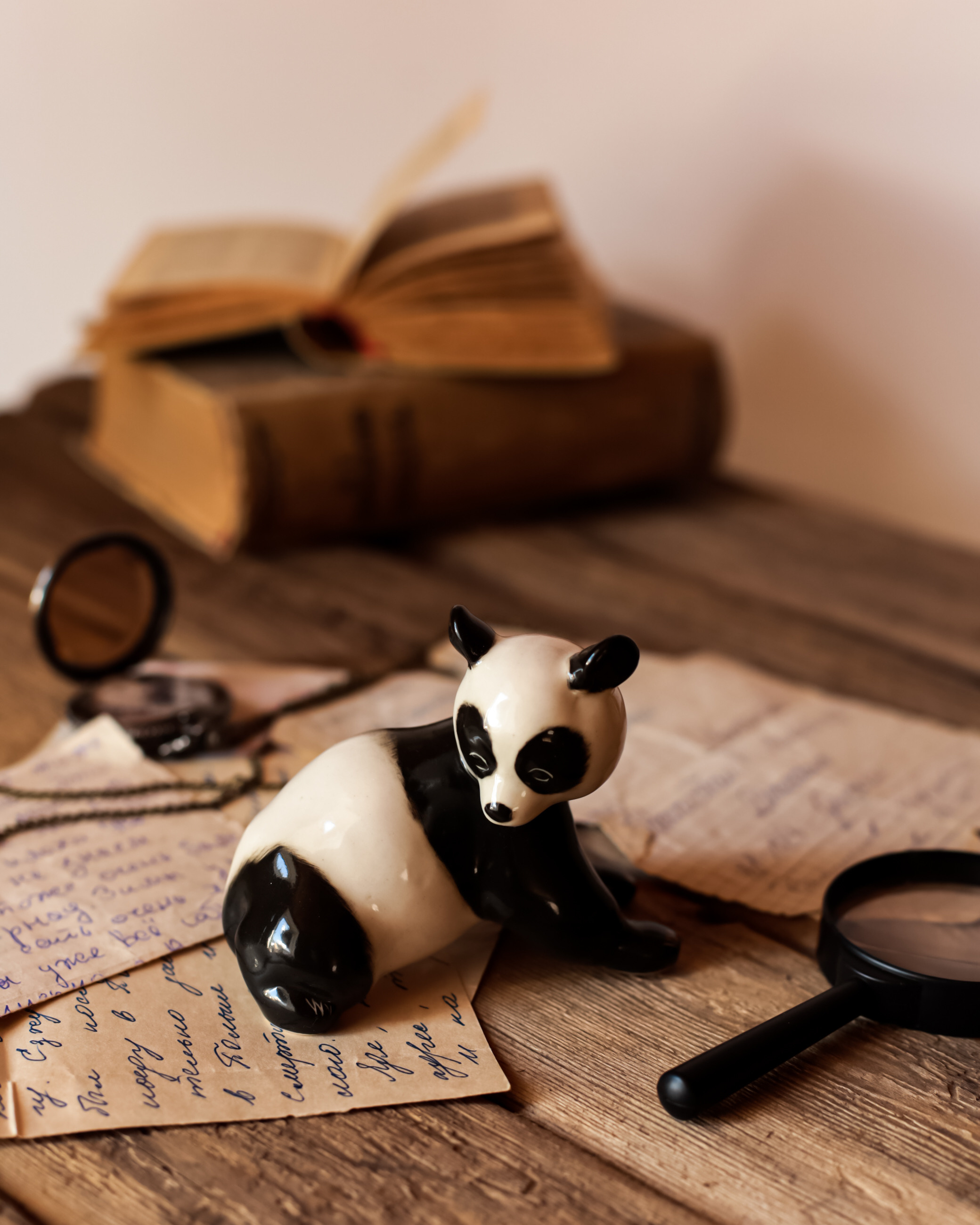 Предметная съемка. Фотограф в Петрозаводске Вероника Манакова