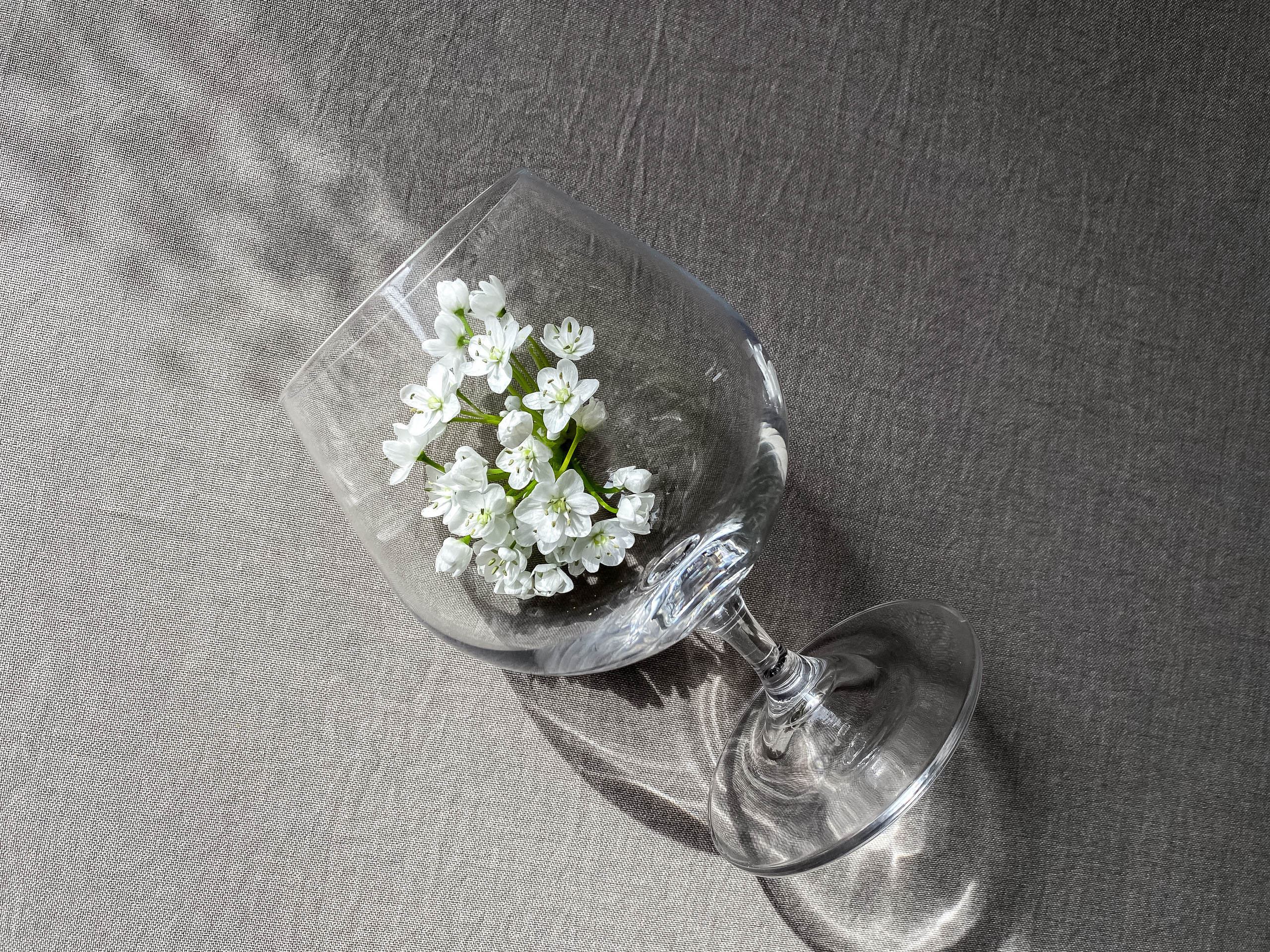 Предметная съемка. Фотограф в Петрозаводске Вероника Манакова