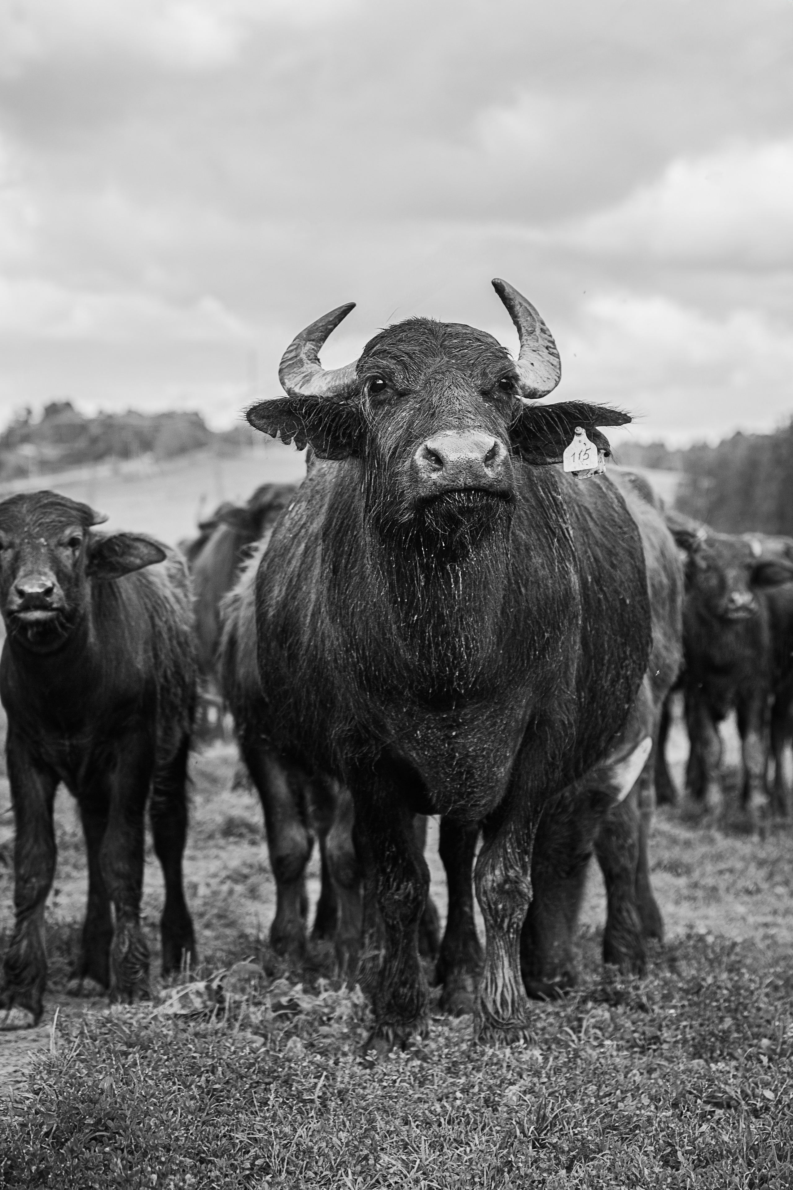 Элла Ферма. Юлия Космо — фуд-фотограф, предметный стилист, Москва