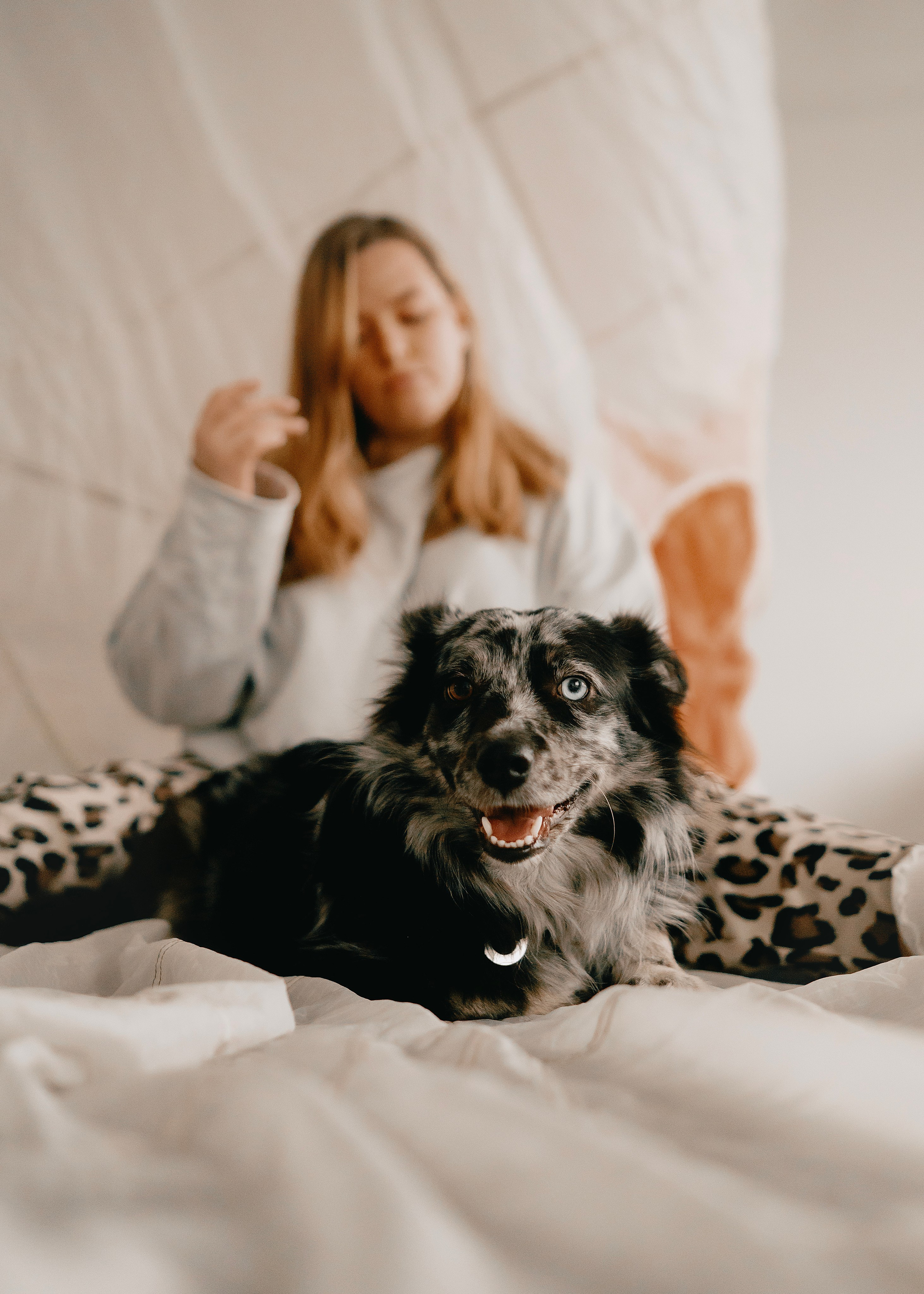 Бублик. Фотограф- анималист Александра Матвеева