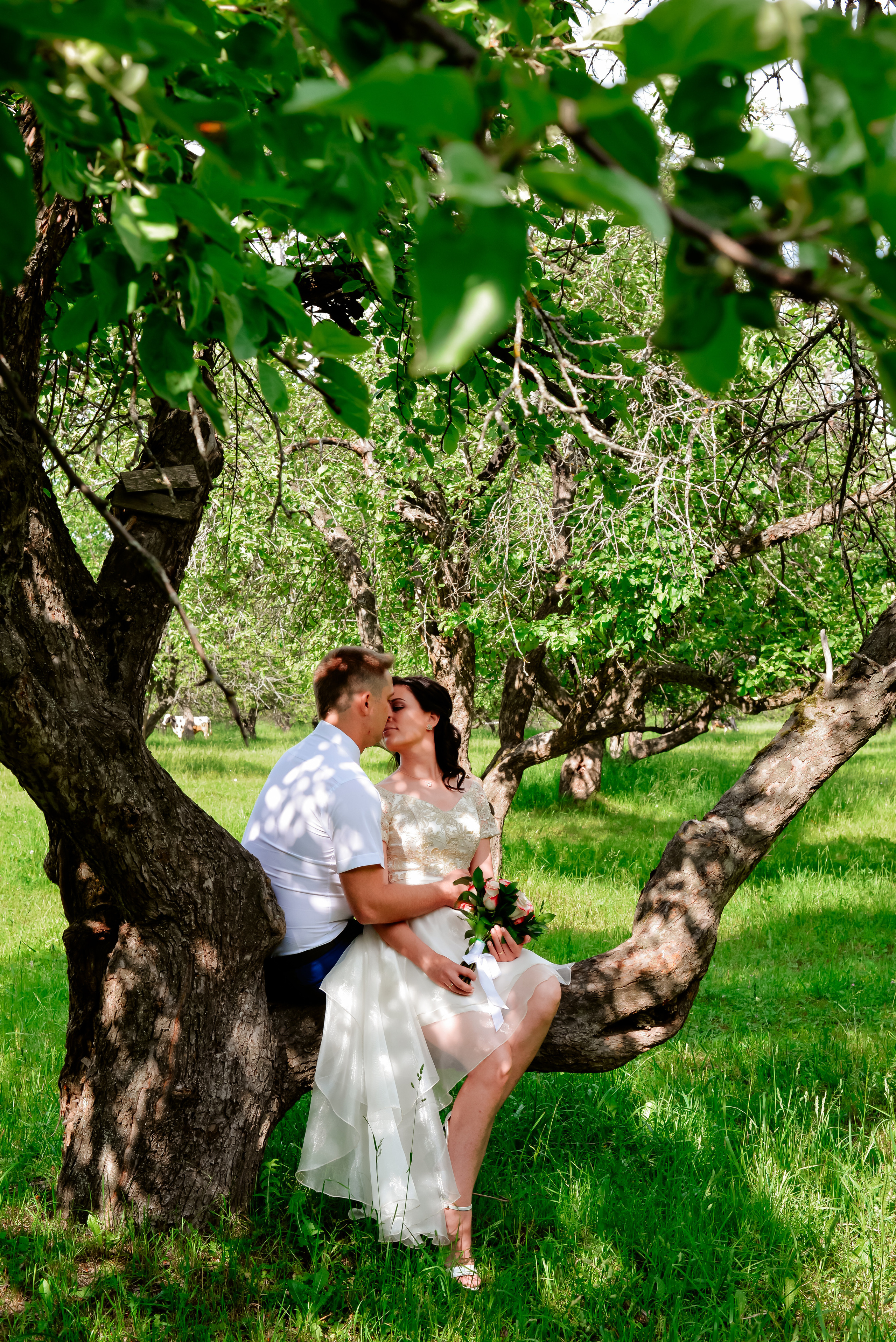 Наталья & Игорь. Фотограф Луховицы, Коломна, Москва, Рязань