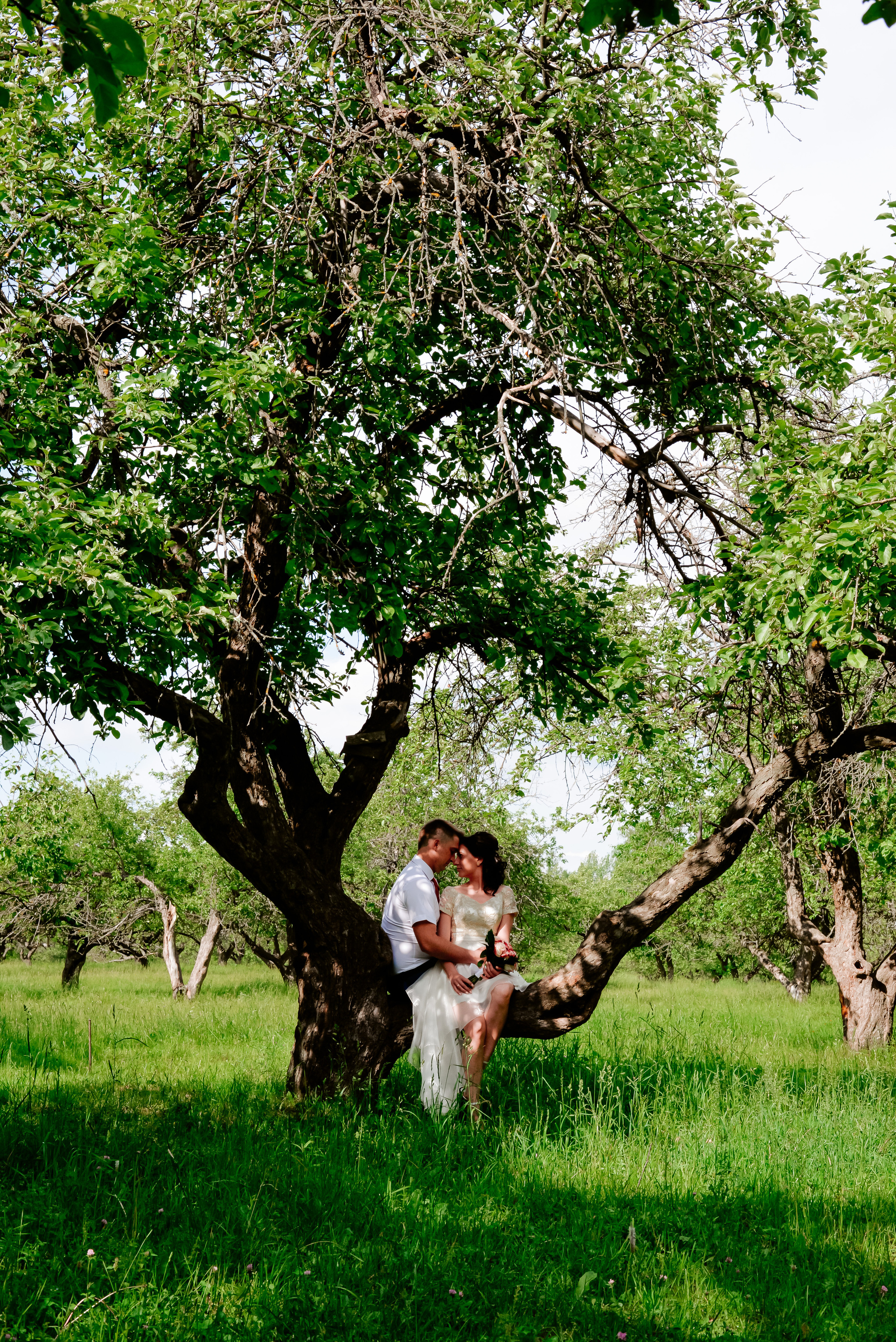 Наталья & Игорь. Фотограф Луховицы, Коломна, Москва, Рязань