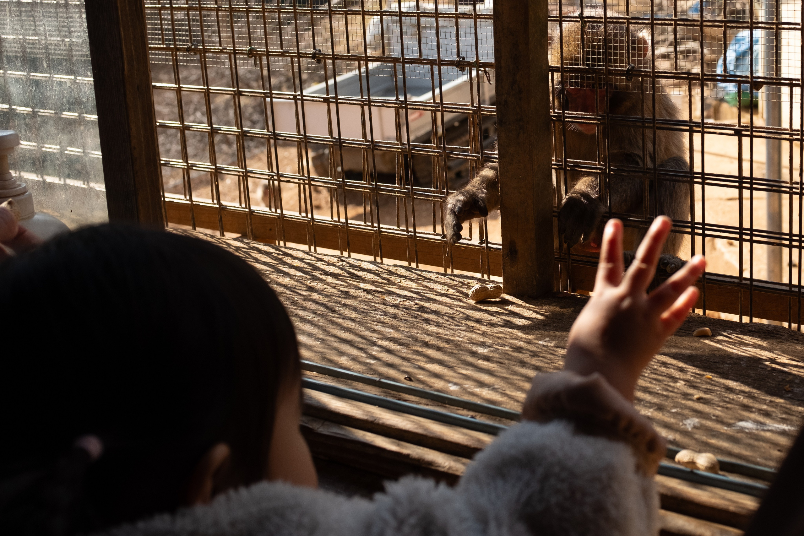 Kyoto. Regina Platonova