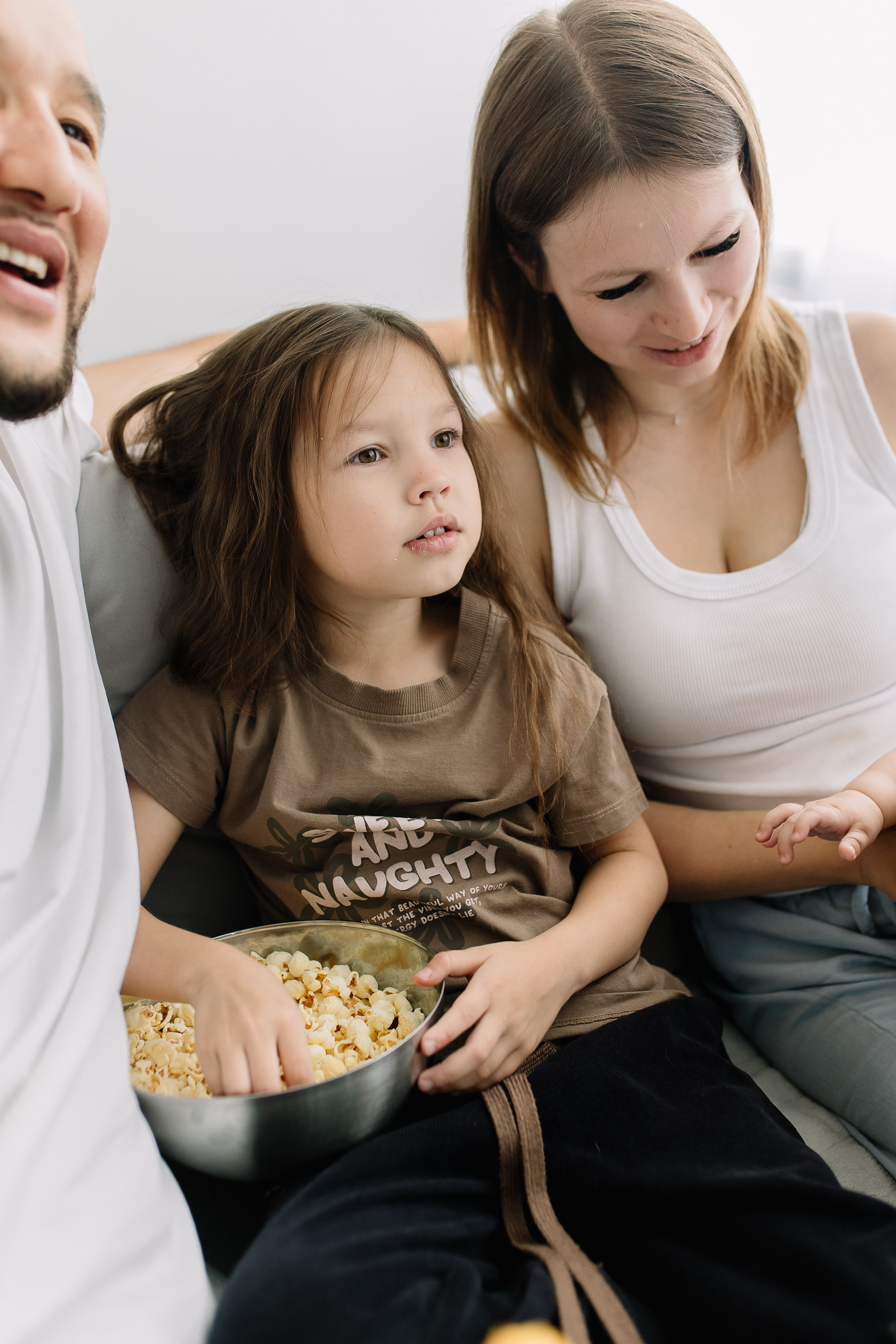 Домашняя история. Meryfotoidea