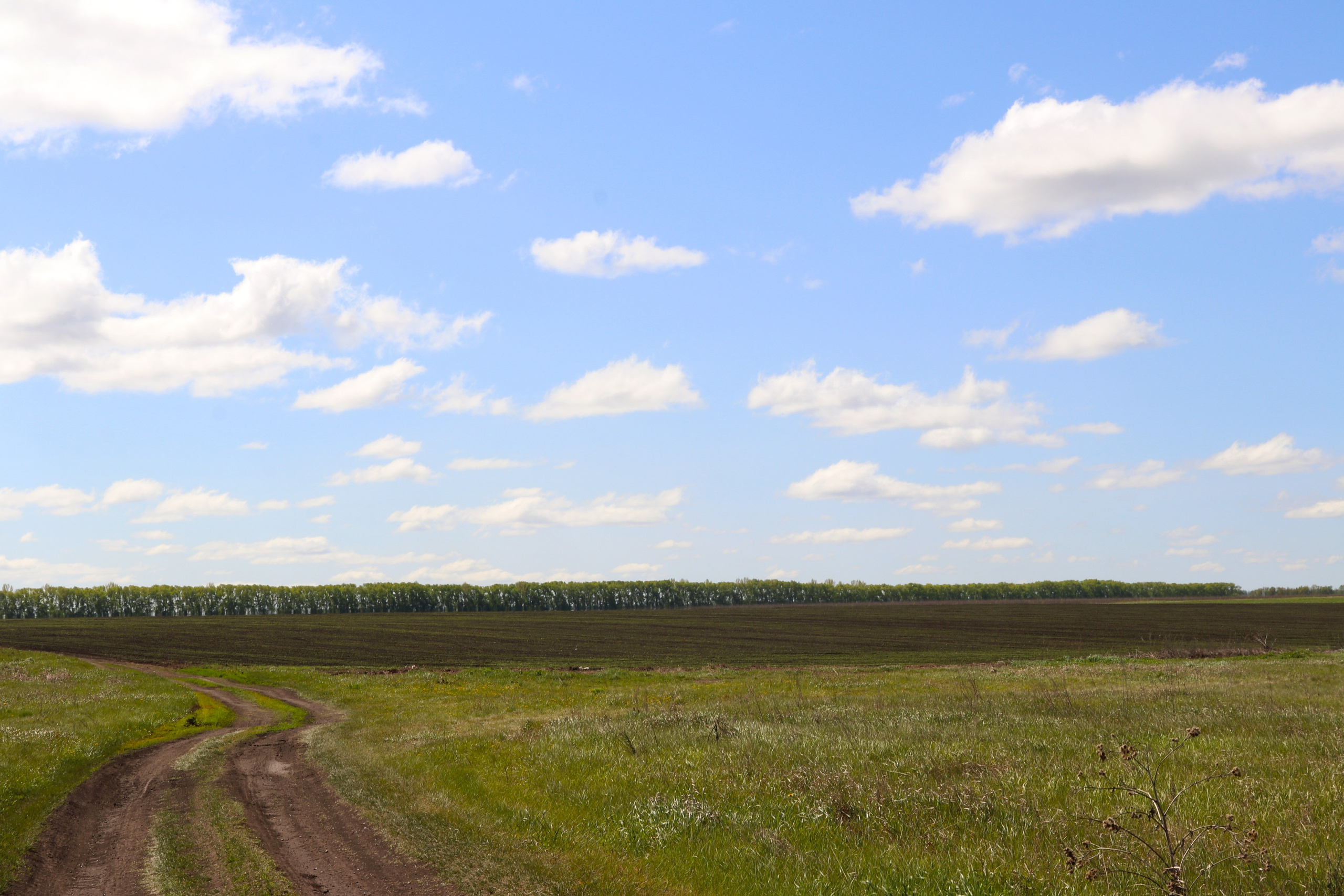 Велопоход Уфа — Мелеуз. Май 2024. Путешественник-фотограф из Санкт-Петербурга Татьяна Свистулина