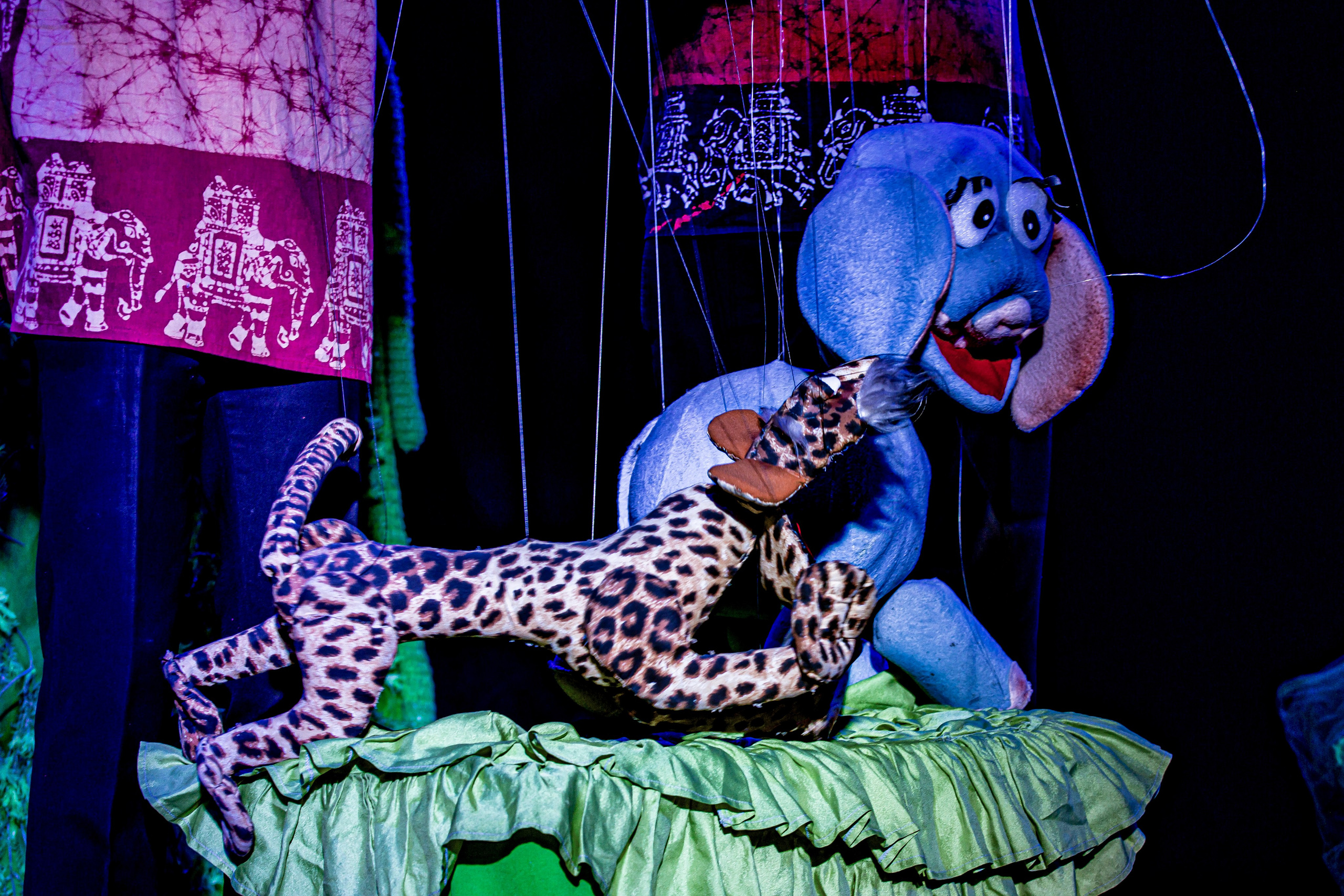 Любопытный слоненок спектакль театра Саквояж. Фотограф в Сочи Юрий Шептаев