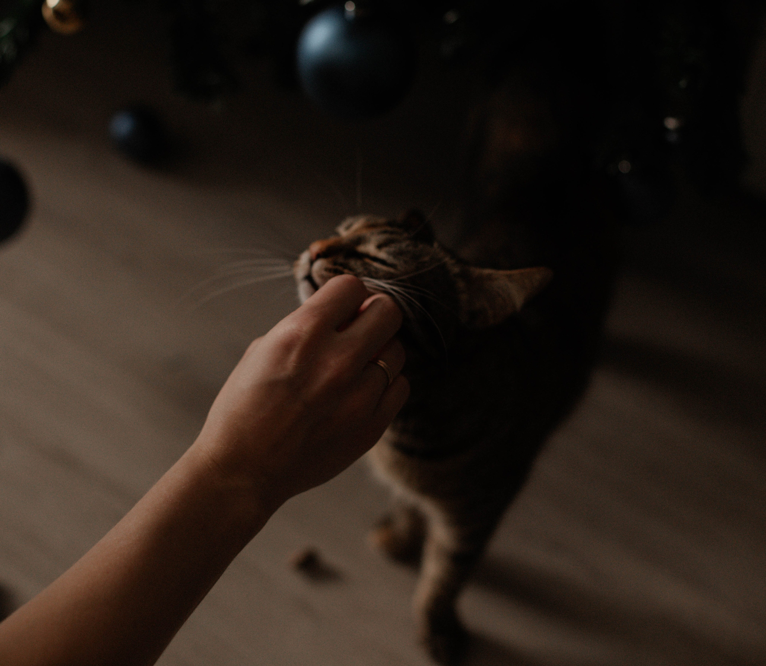 Люда и Паша. Фотограф в Санкт-Петербурге Дарья Заплитная