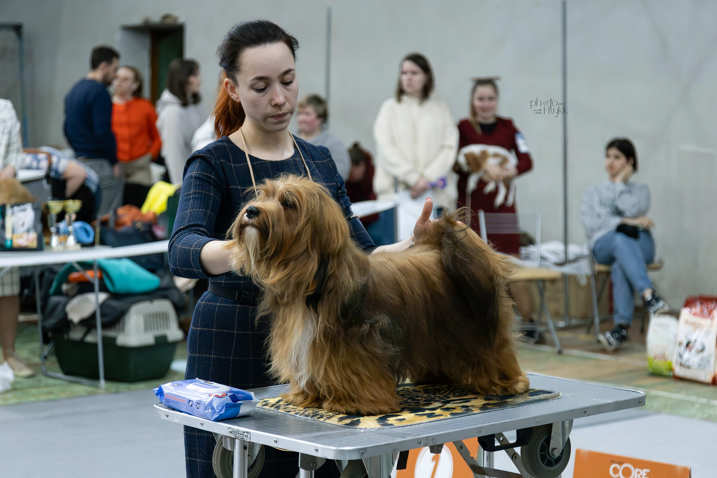 7 апреля 2024, Выставка РКФ, г. Пермь. Htykk_photo