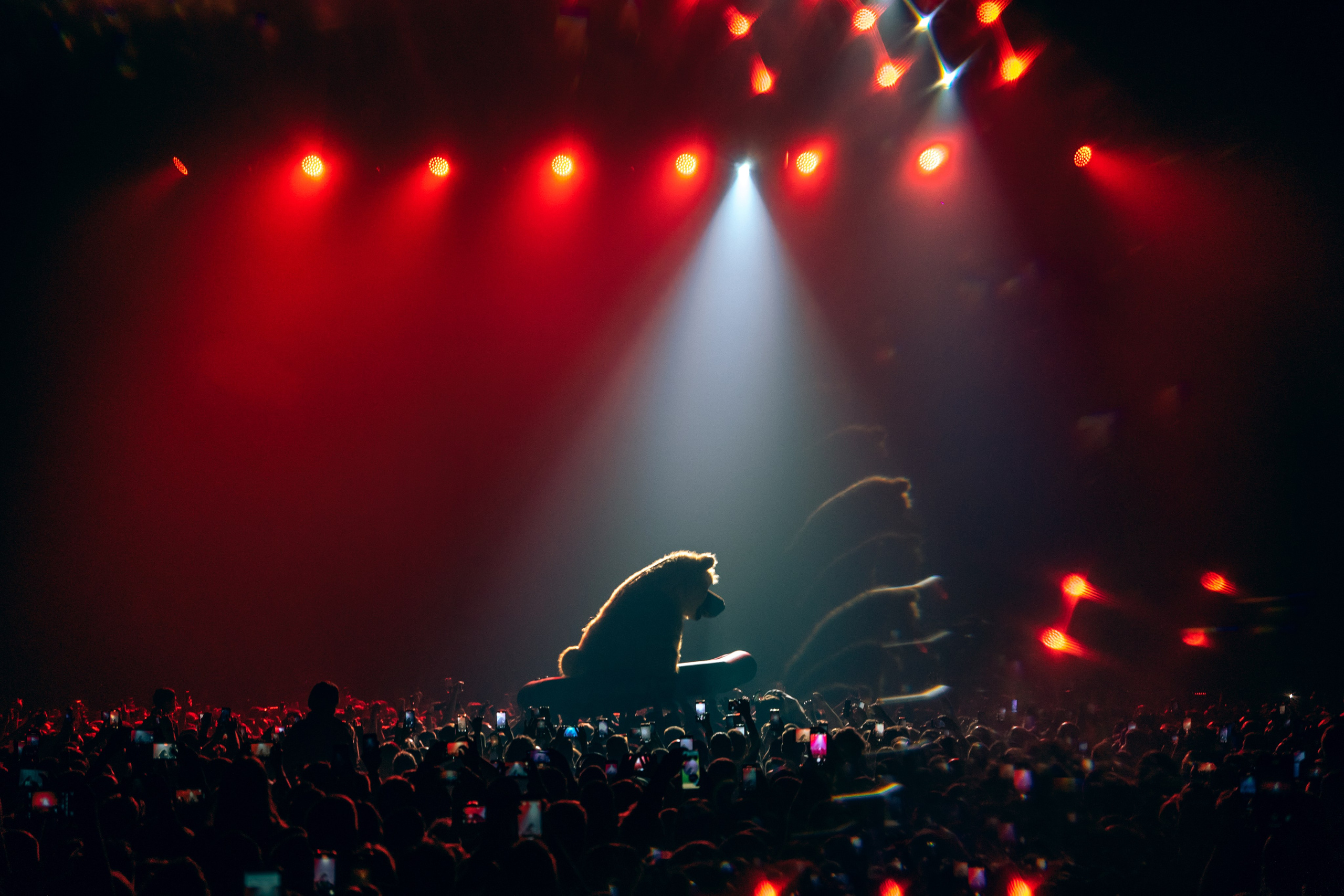 КОНЦЕРТЫ. RVANCEVA