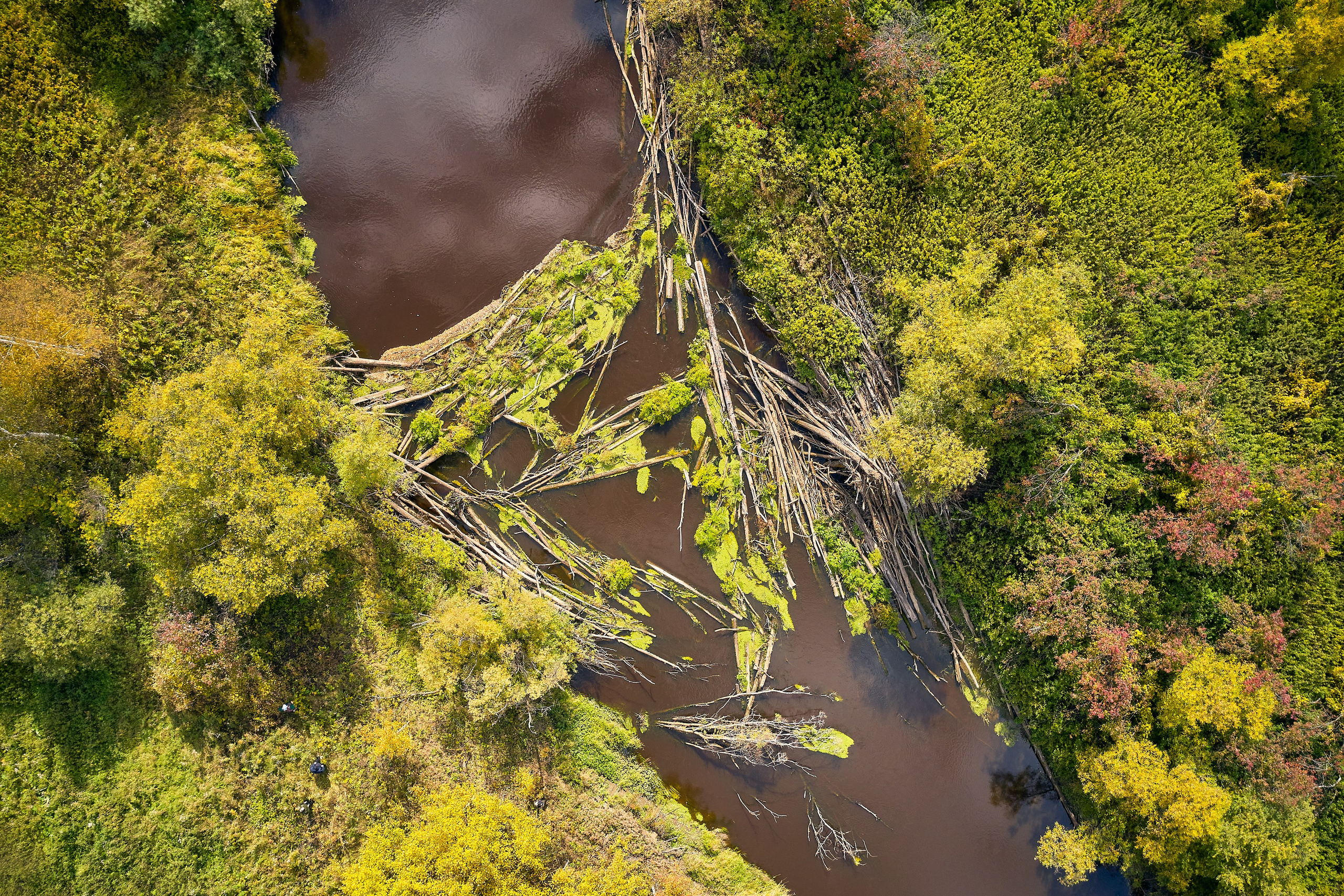 Съемка в полете. DMITRY MOISEENKO — фотограф, художник, топ-стилист