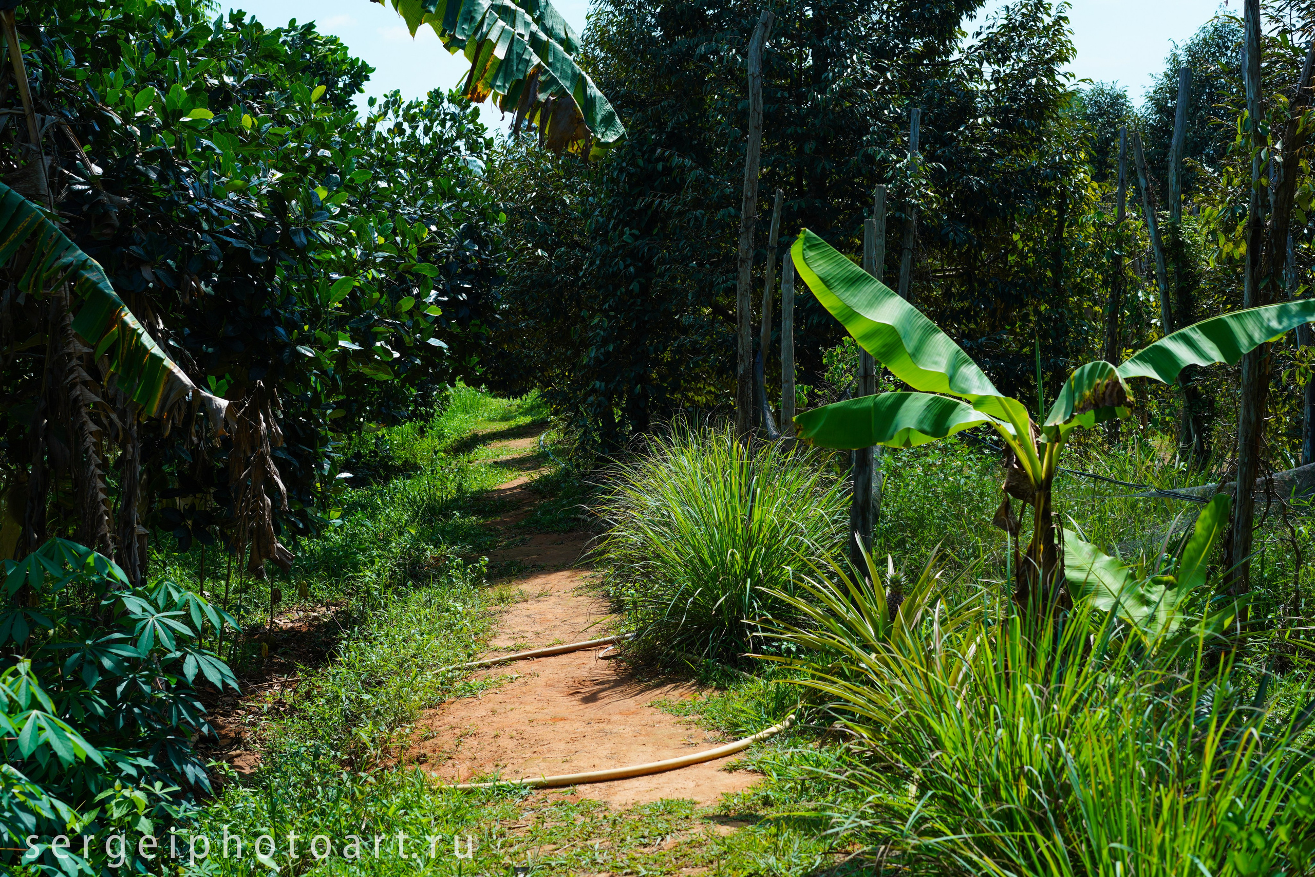 Остров Фукуок, Вьетнам. Фотограф Сергей Кишкель Дананг Нячанг Фукуок