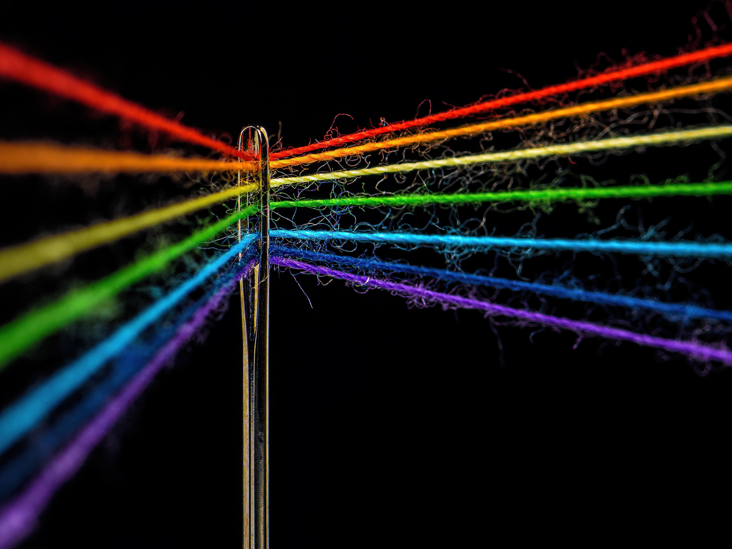 Макросъемка фотографа Владимира Зубкова