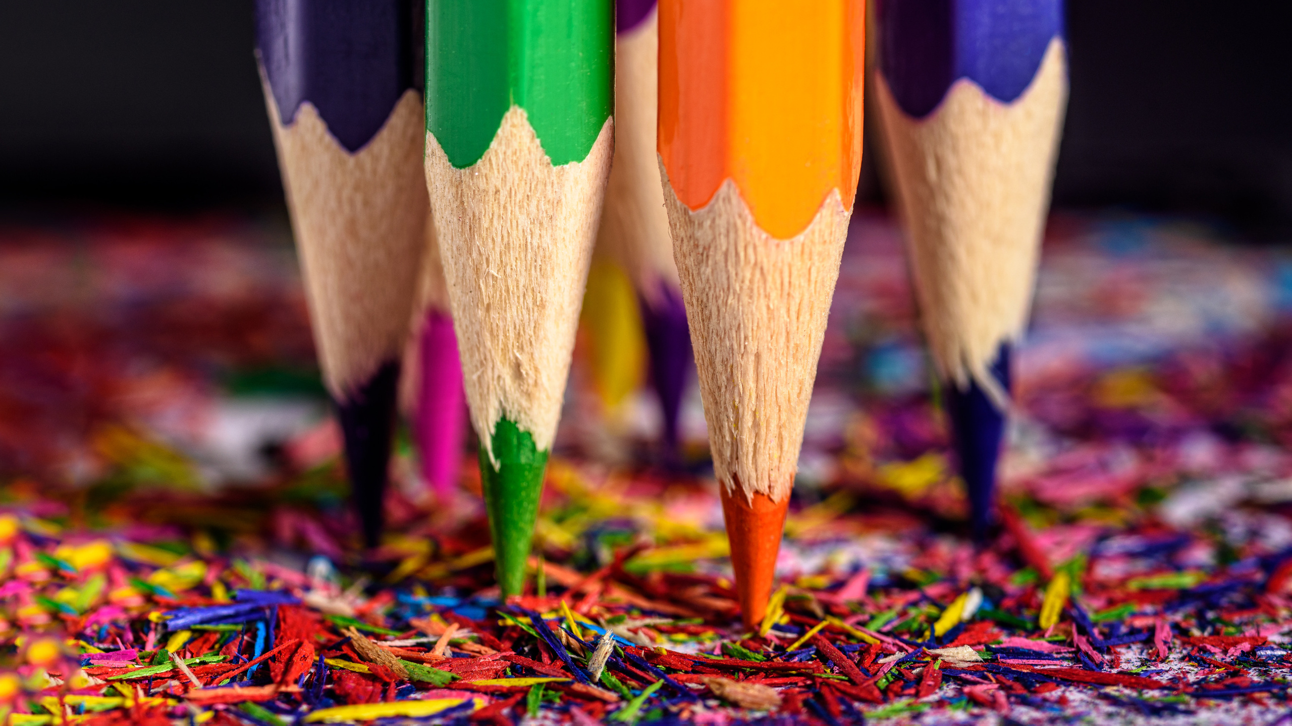 Предметный и рекламный фотограф Владимир Зубков в Бийске