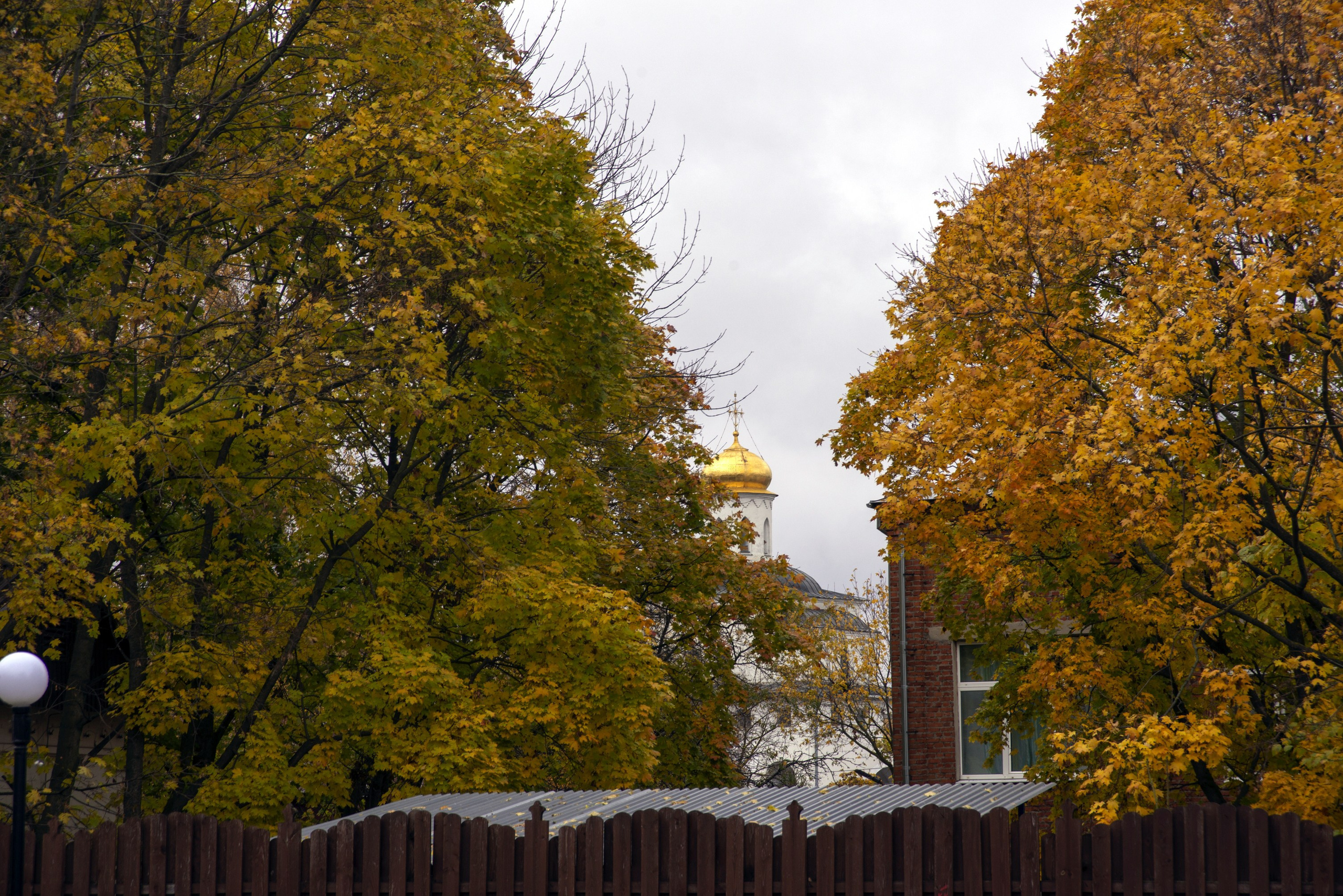 Владимир. Октябрь 2023. Игорь Жучков. Россия увиденная глазами путешествующего фотографа