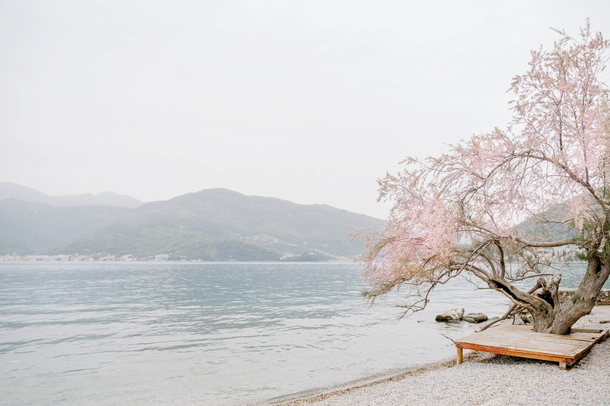 Tivat. Свадебный Видеограф Фотограф в Сочи