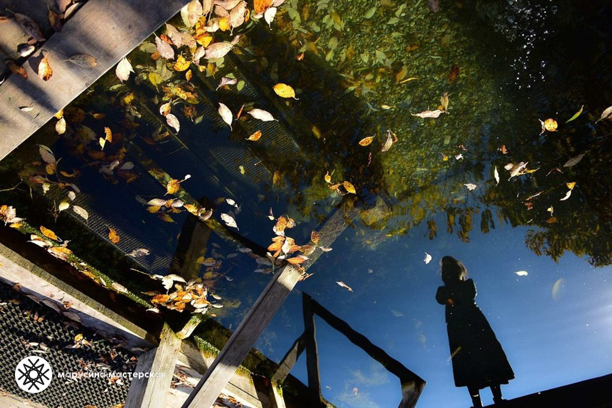 Творческая фотография, снятая в рамках осенней творческой практики, автор — Ирина Хромова
