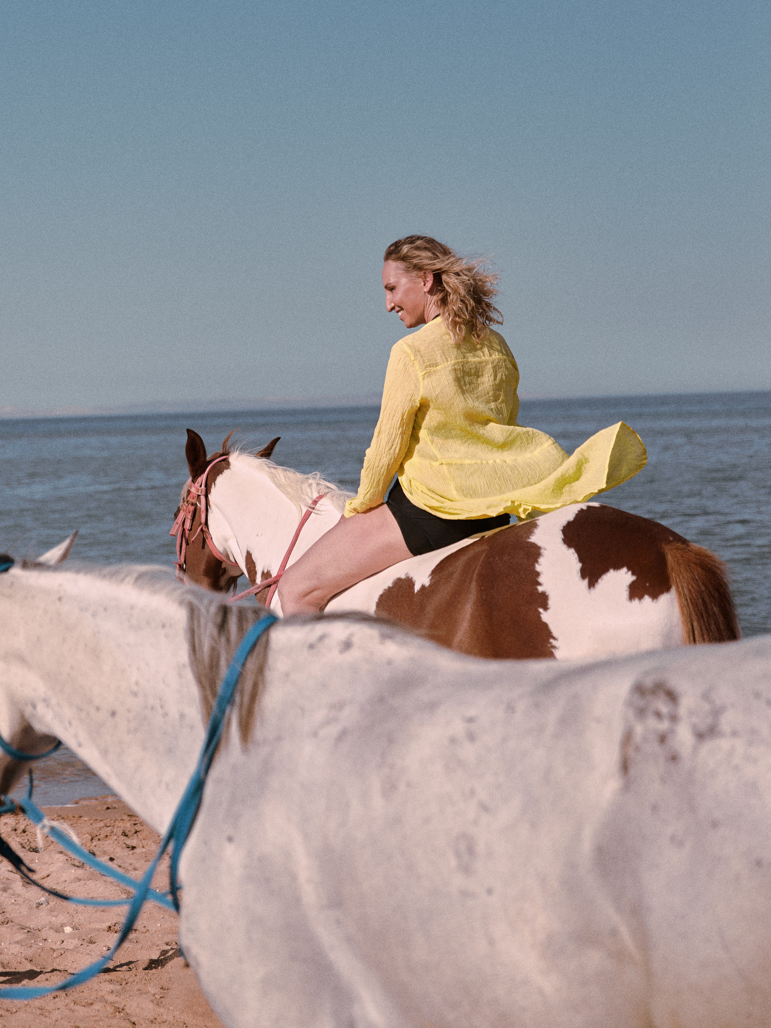 Лошадиная ферма. Jorgis — фотограф в Хургаде / обучение фотографии