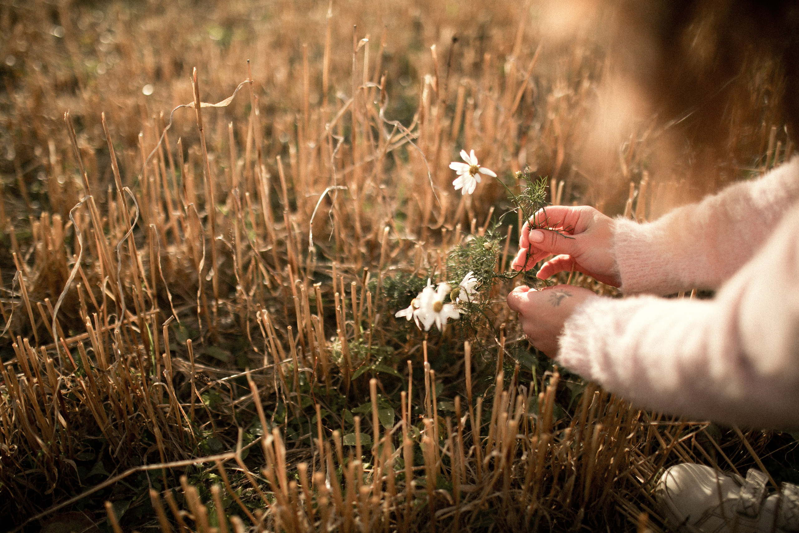 Алина и Регина. Фотограф София Комкина