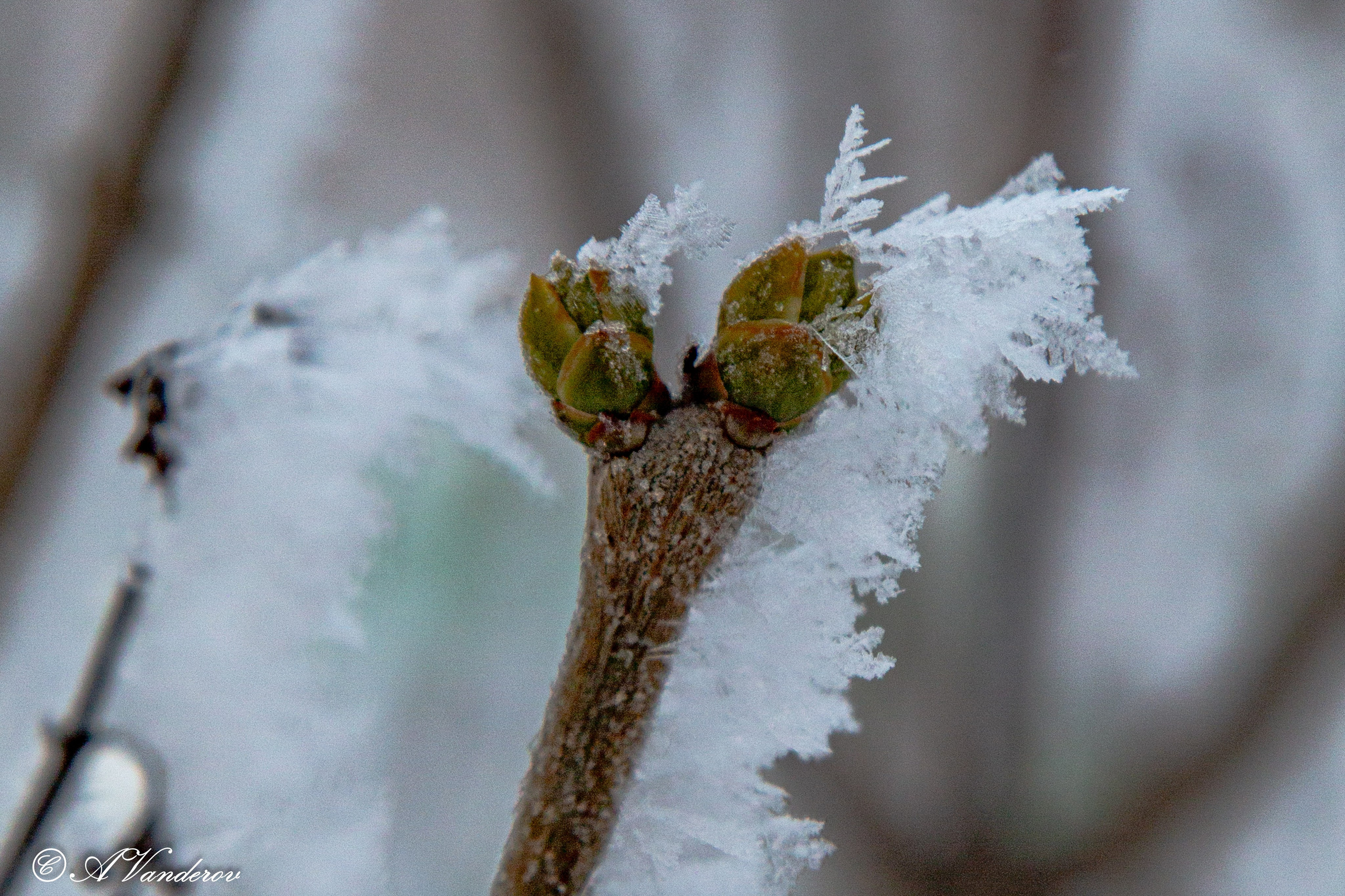Красота природы. Фотограф Омск | Александр Вандеров