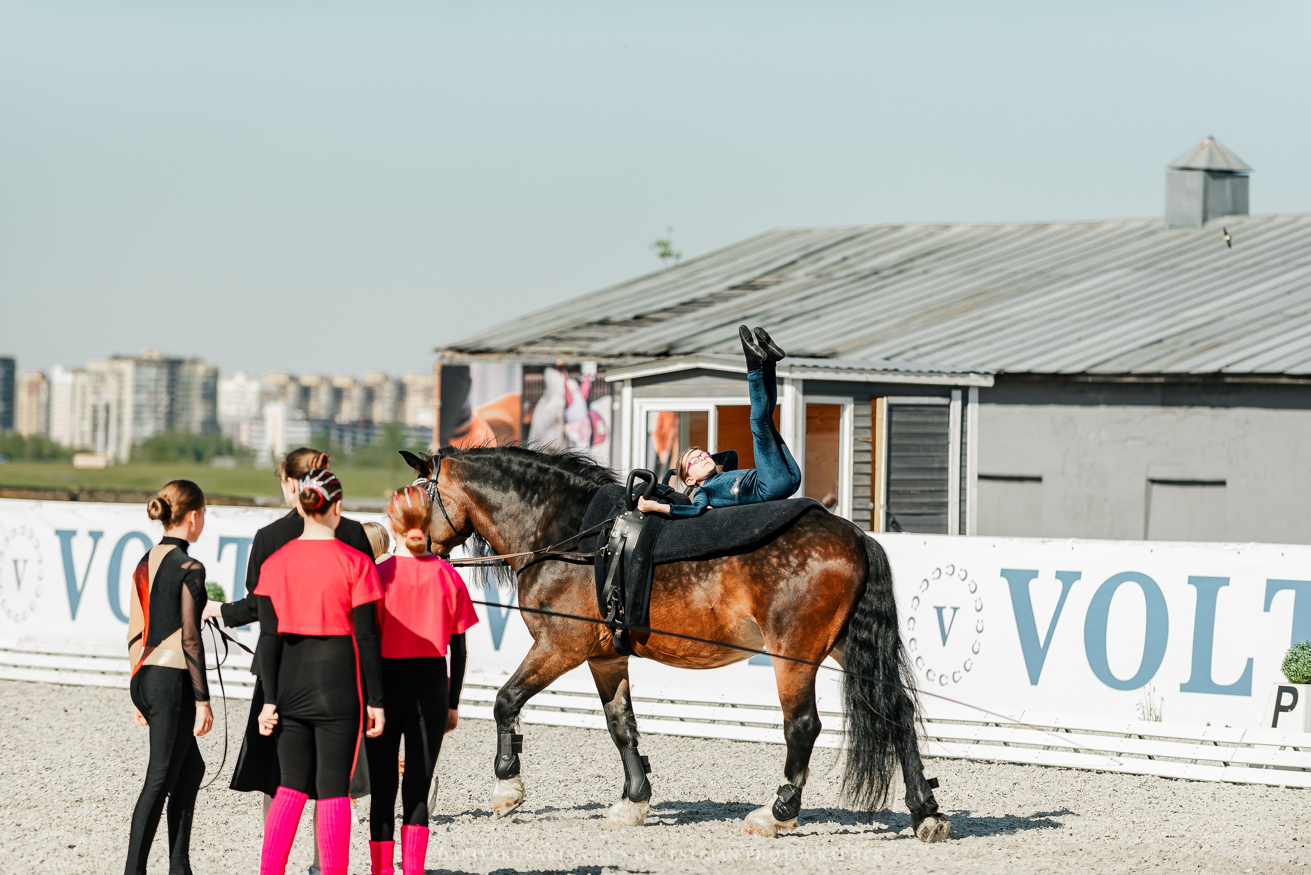 РЕПОРТАЖ МКК ВОЛЬТ «LA TULIPS». Конный фотограф Куракина Дарья • Фотосессии с лошадьми