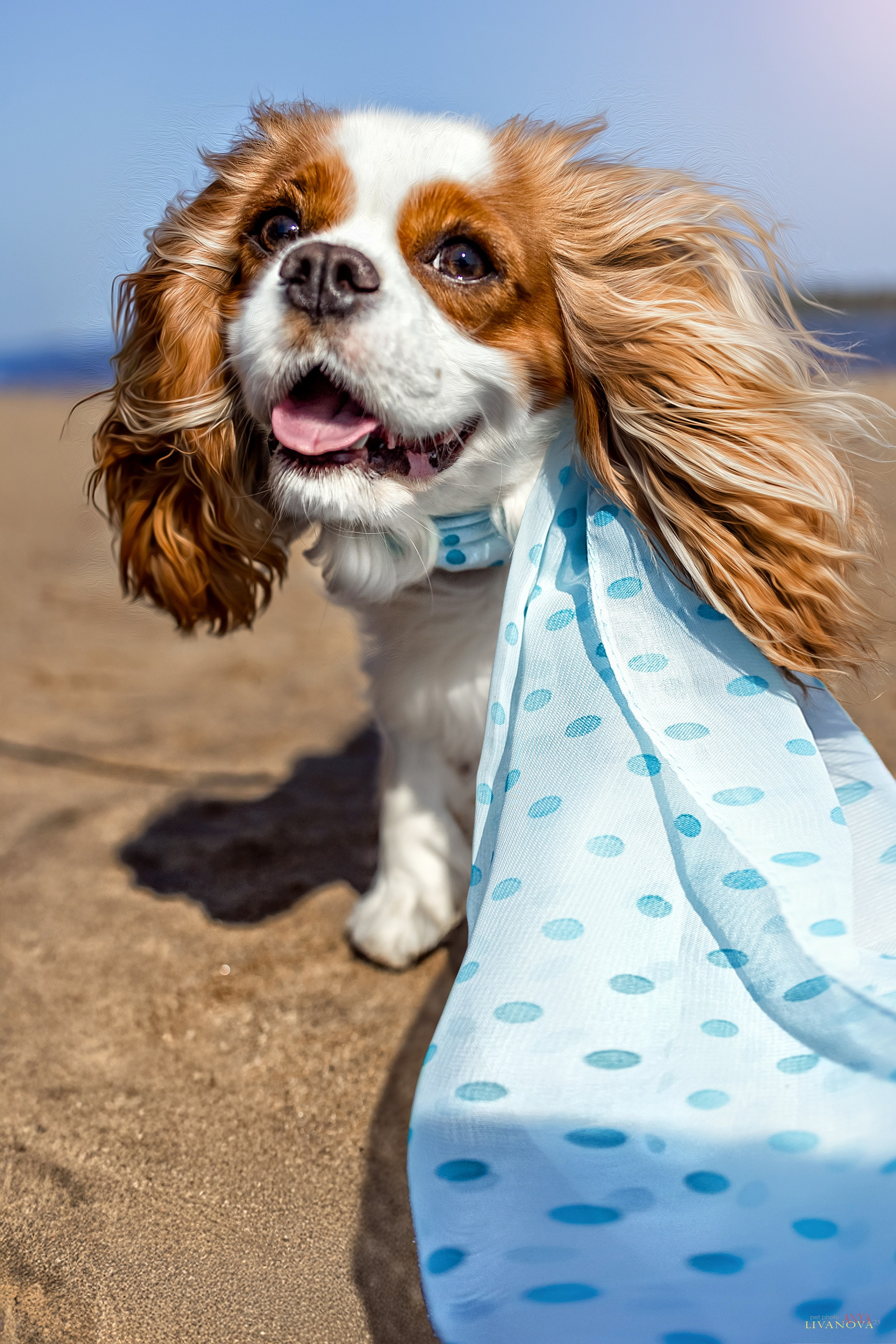 Аня и Миля. Фотограф анималист Аня Ливанова | Рыбинск