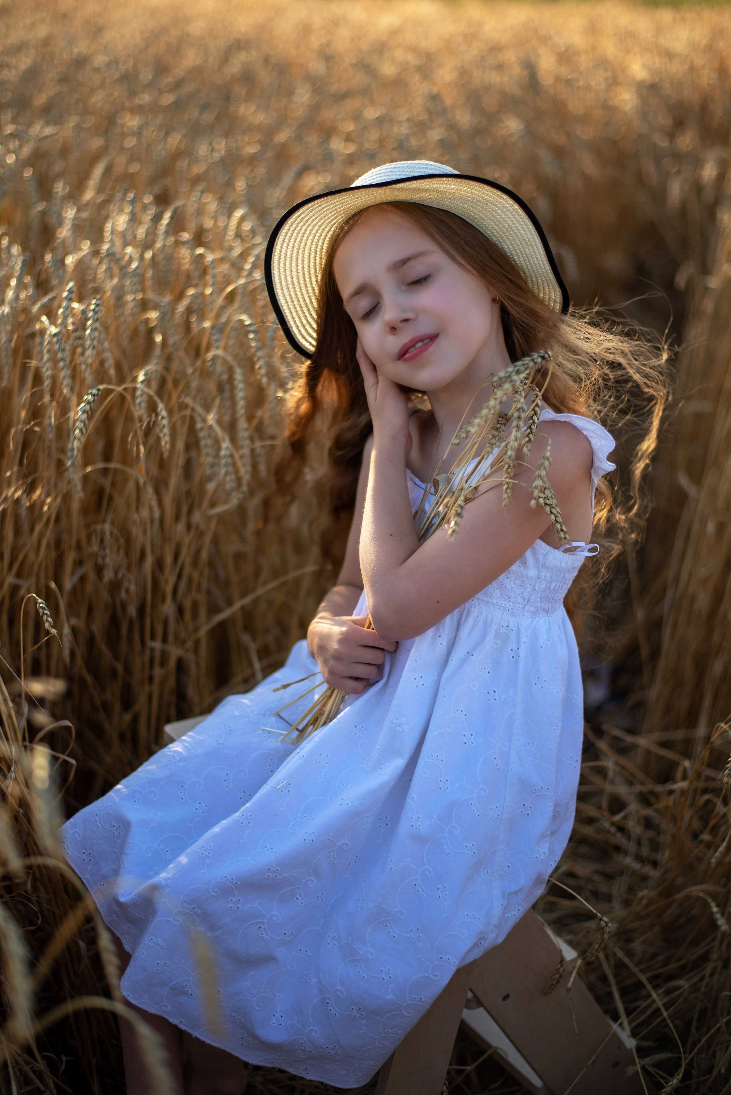 Пшеница. Главная