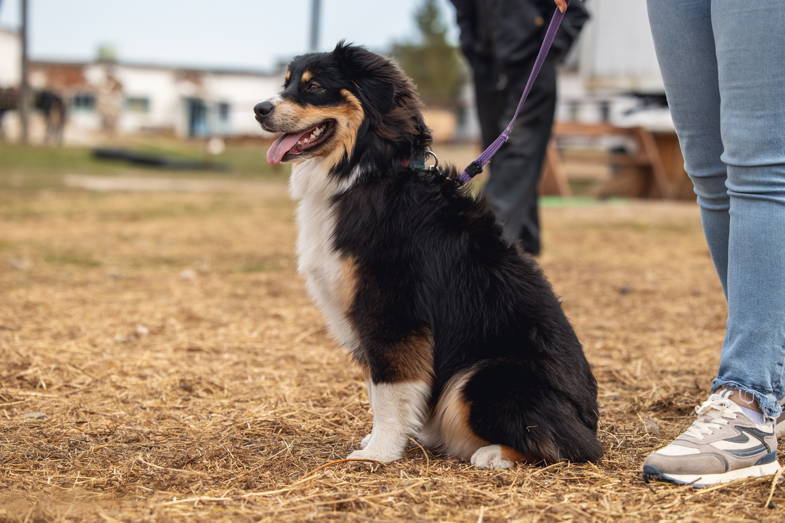 Ночь. YULA KOLESOVA | Фотограф — Анималист | Художник | Тюмень