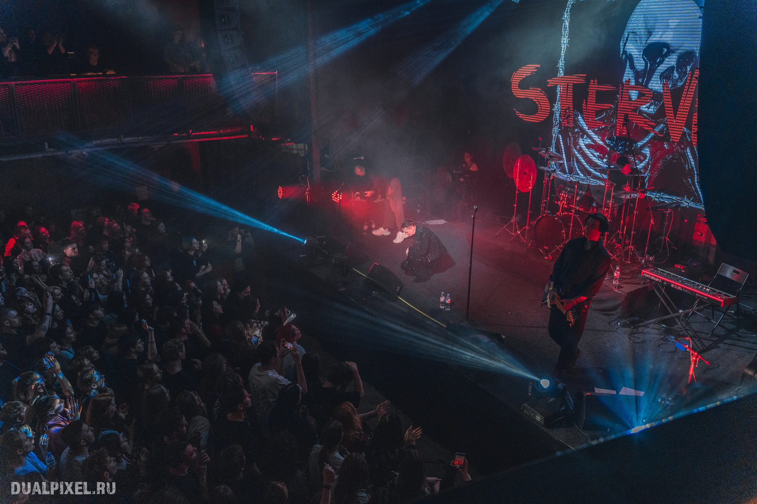 Stervell. Магия музыки в кадре: Концертная Фотография